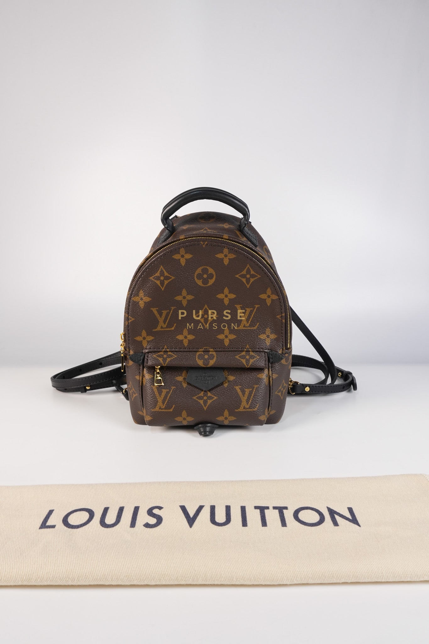 Palm Spring Mini Backpack in Monogram Canvas & Gold Hardware Microchip | Purse Maison Luxury Bags Shop