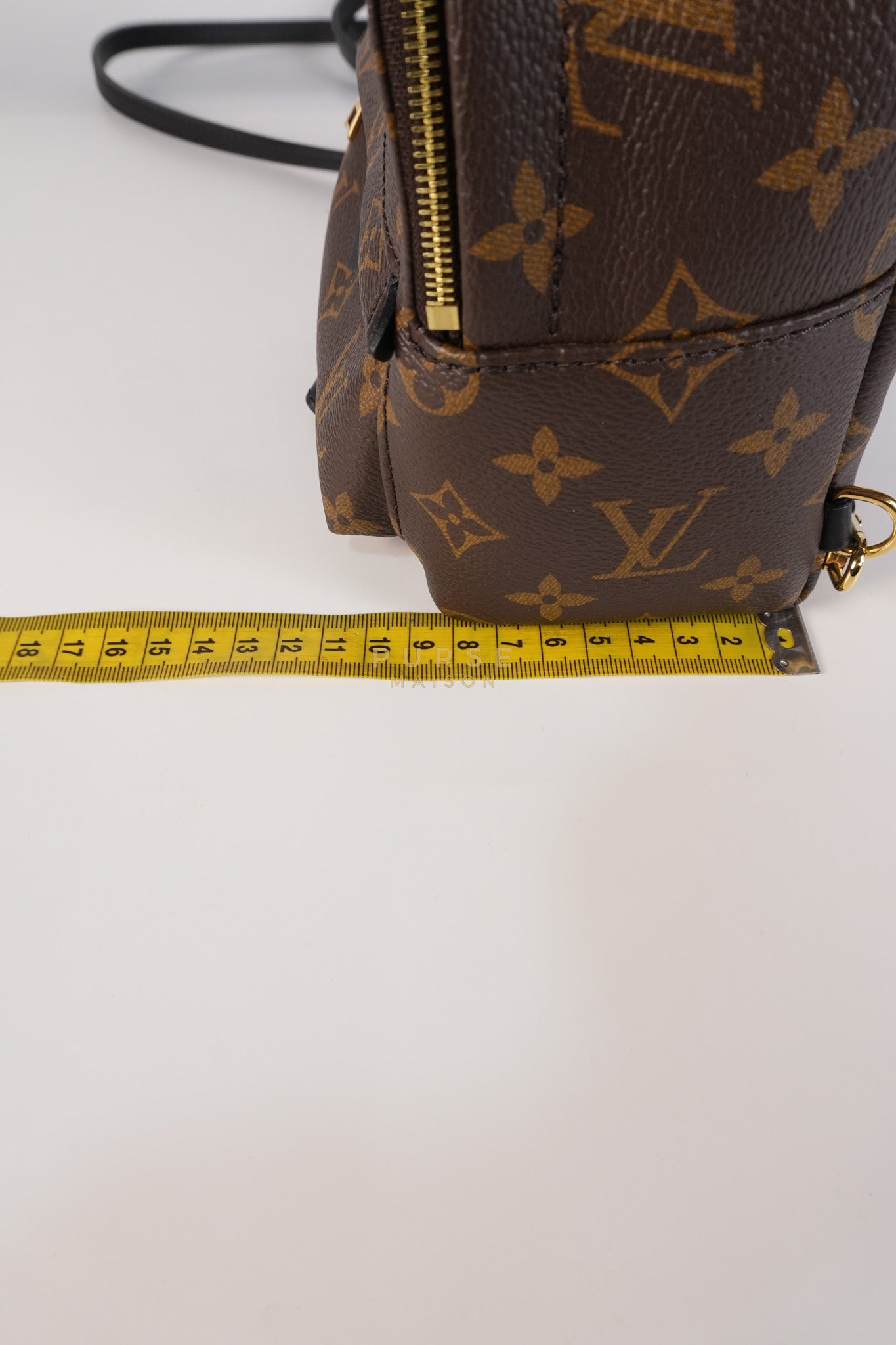 Palm Spring Mini Backpack in Monogram Canvas & Gold Hardware Microchip | Purse Maison Luxury Bags Shop