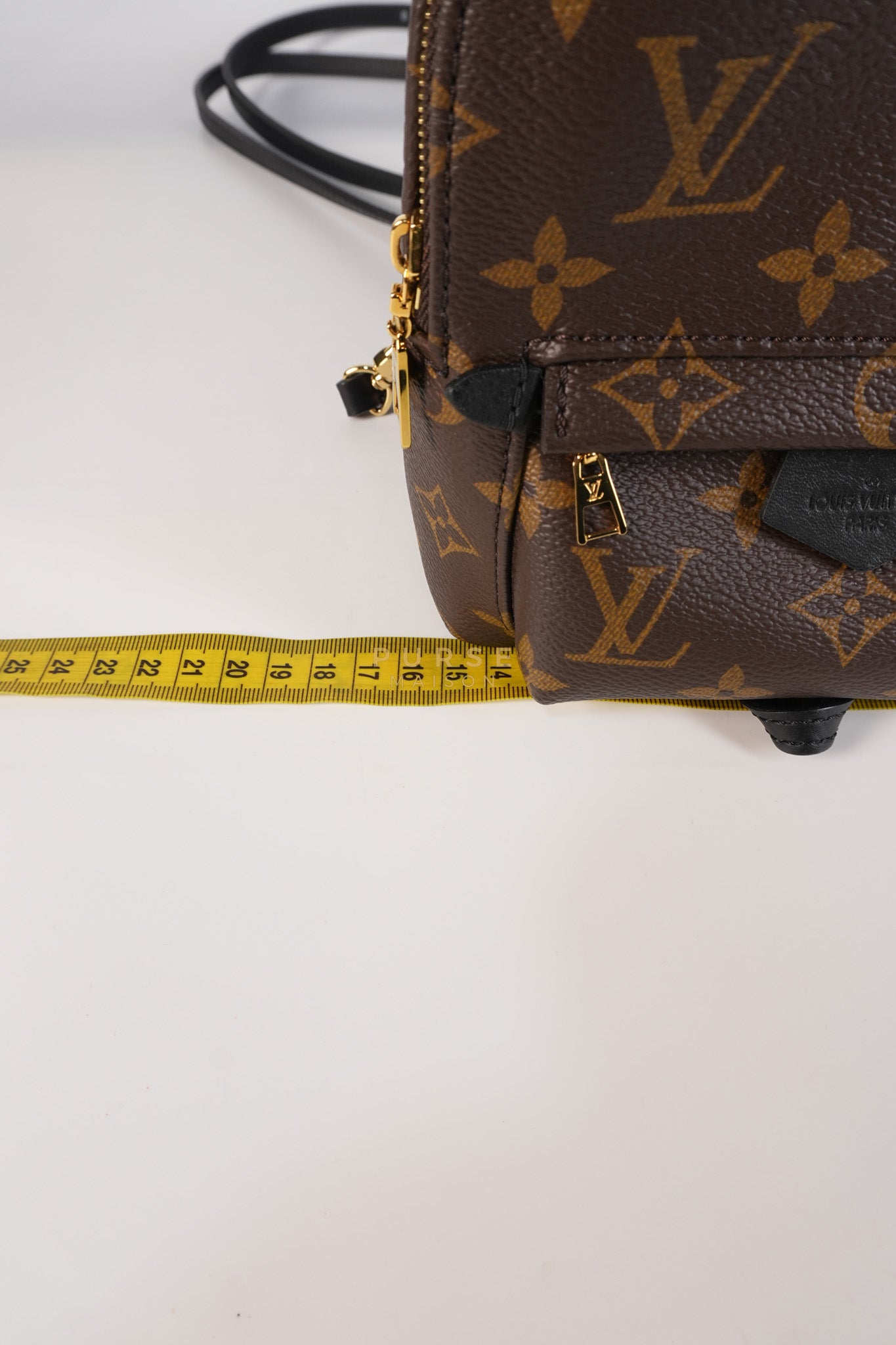 Palm Spring Mini Backpack in Monogram Canvas & Gold Hardware Microchip | Purse Maison Luxury Bags Shop