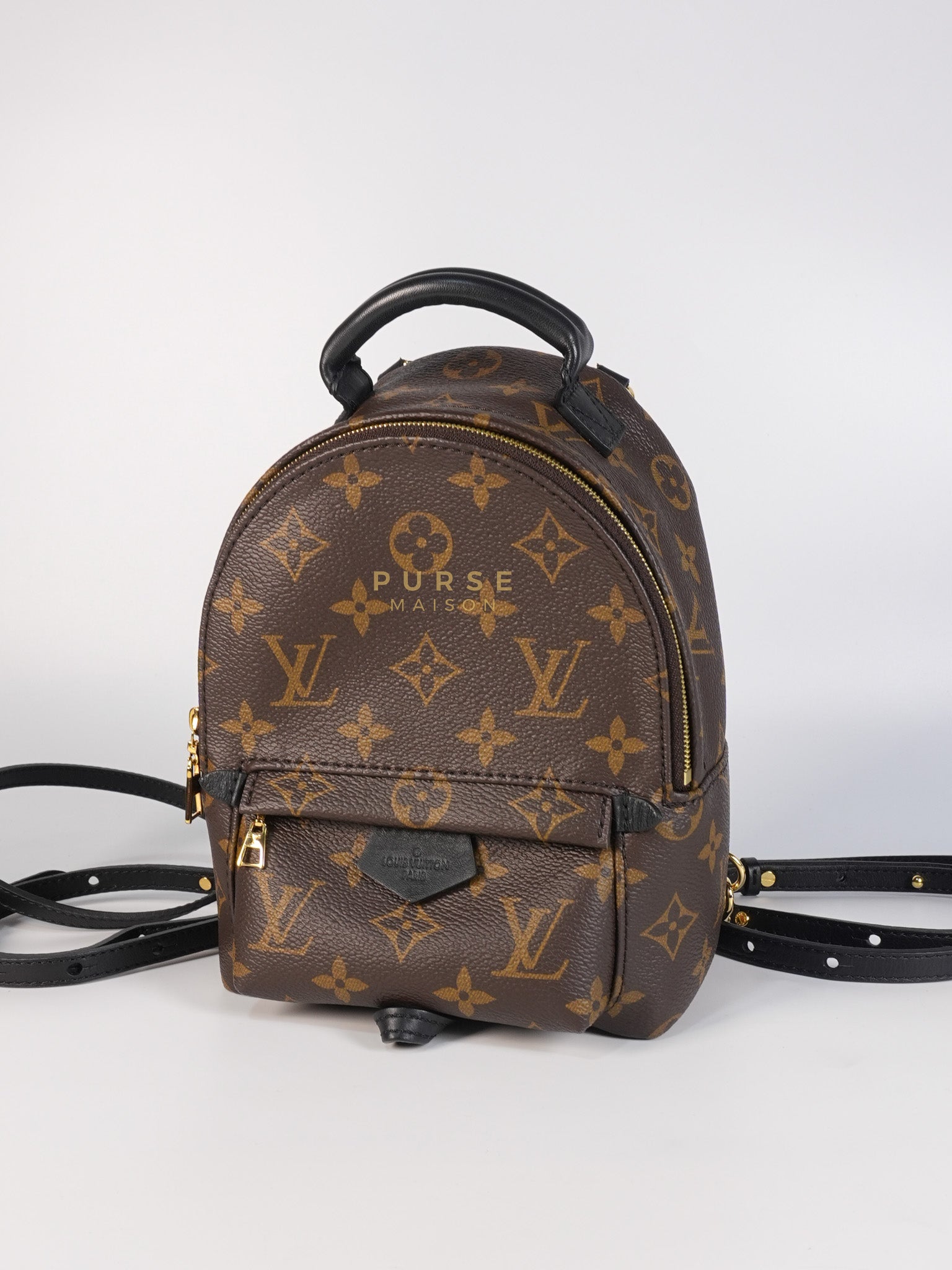 Palm Spring Mini Backpack in Monogram Canvas & Gold Hardware Microchip | Purse Maison Luxury Bags Shop