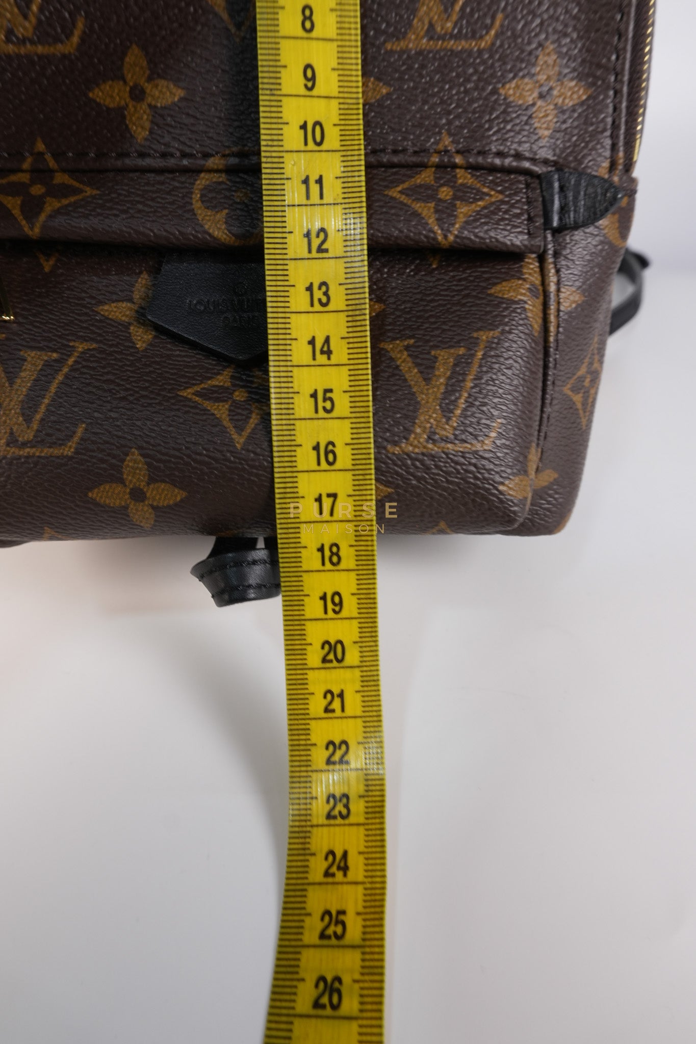 Palm Spring Mini Backpack in Monogram Canvas & Gold Hardware Microchip | Purse Maison Luxury Bags Shop