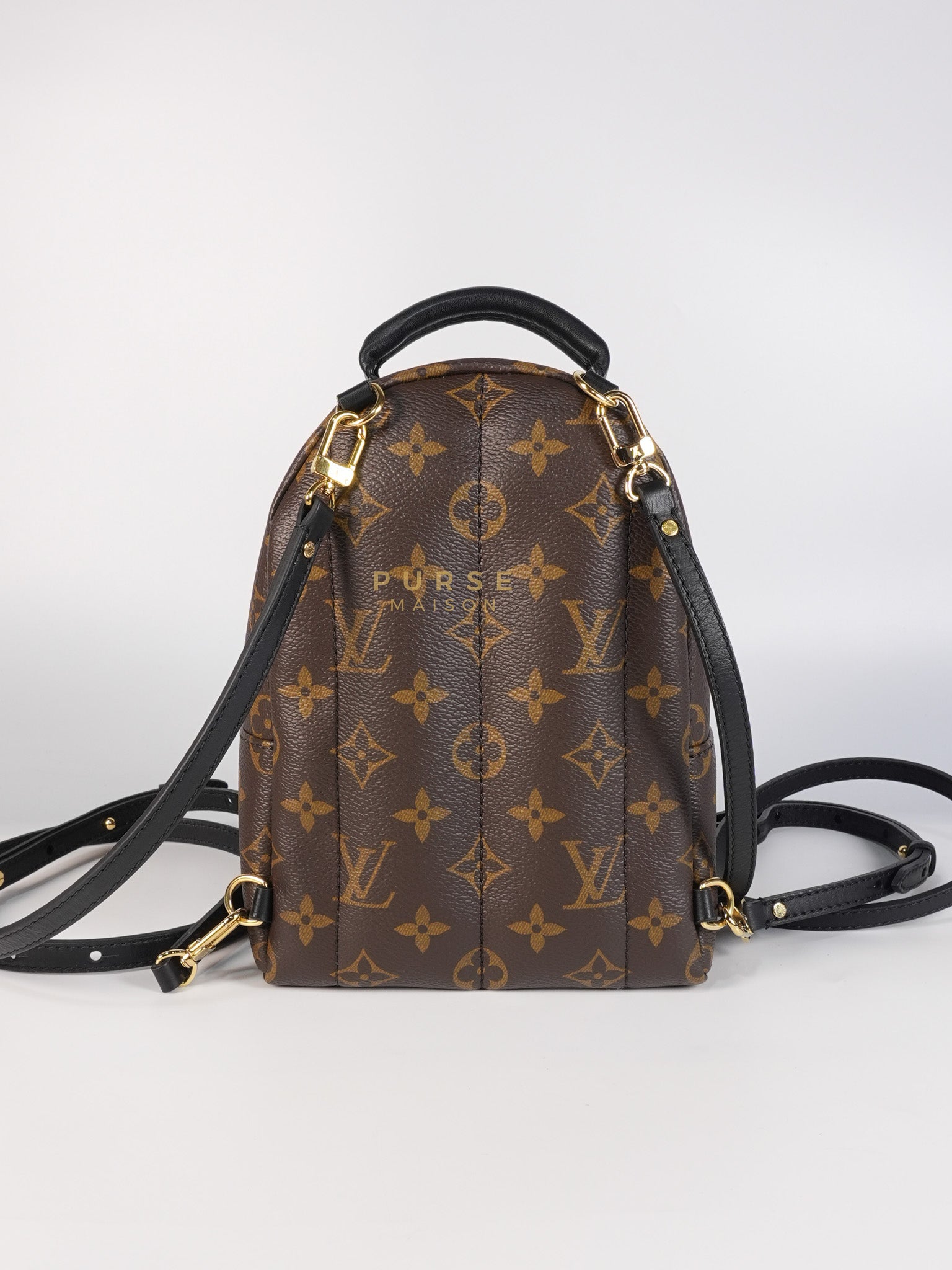 Palm Spring Mini Backpack in Monogram Canvas & Gold Hardware Microchip | Purse Maison Luxury Bags Shop