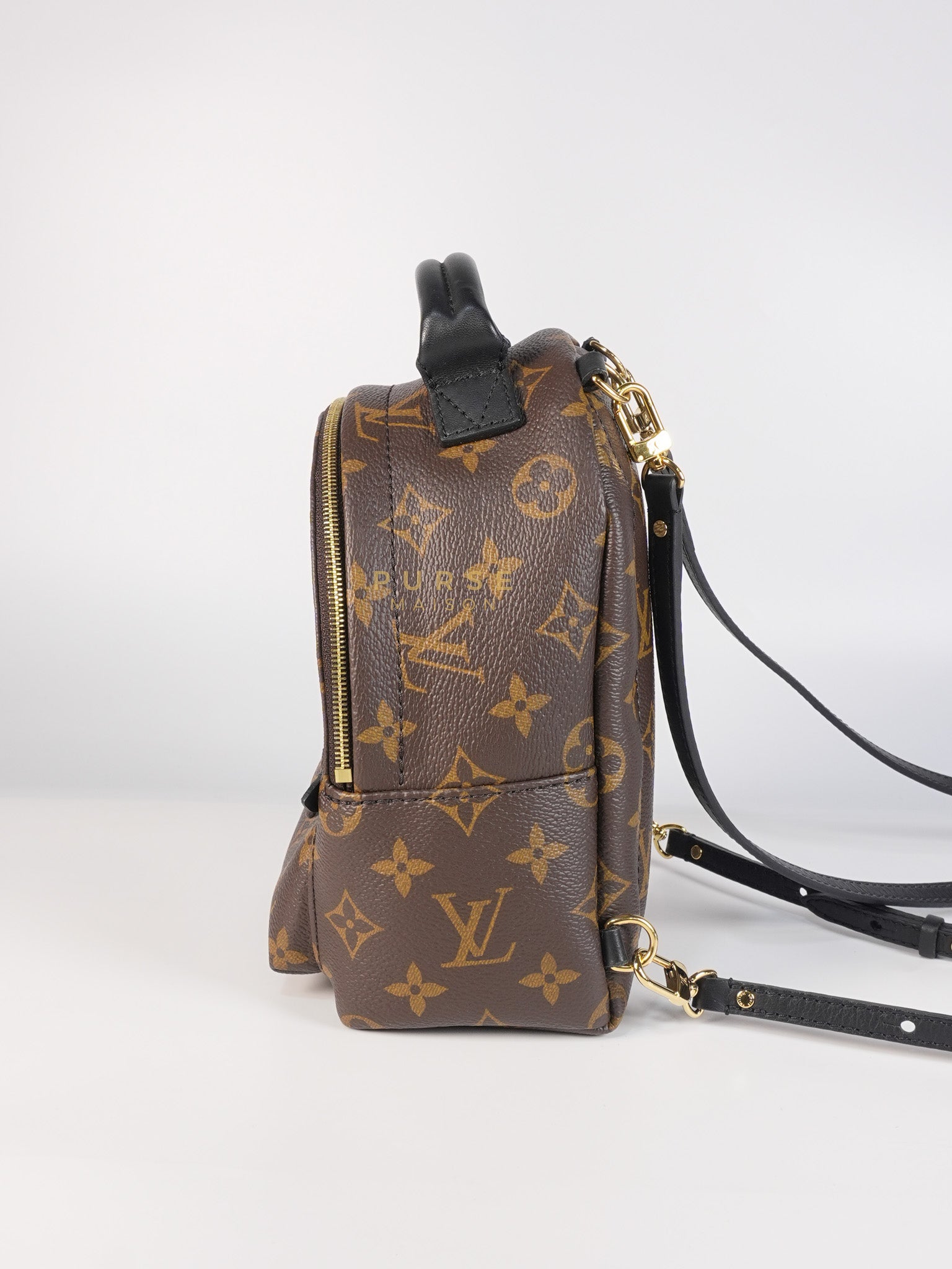 Palm Spring Mini Backpack in Monogram Canvas & Gold Hardware Microchip | Purse Maison Luxury Bags Shop