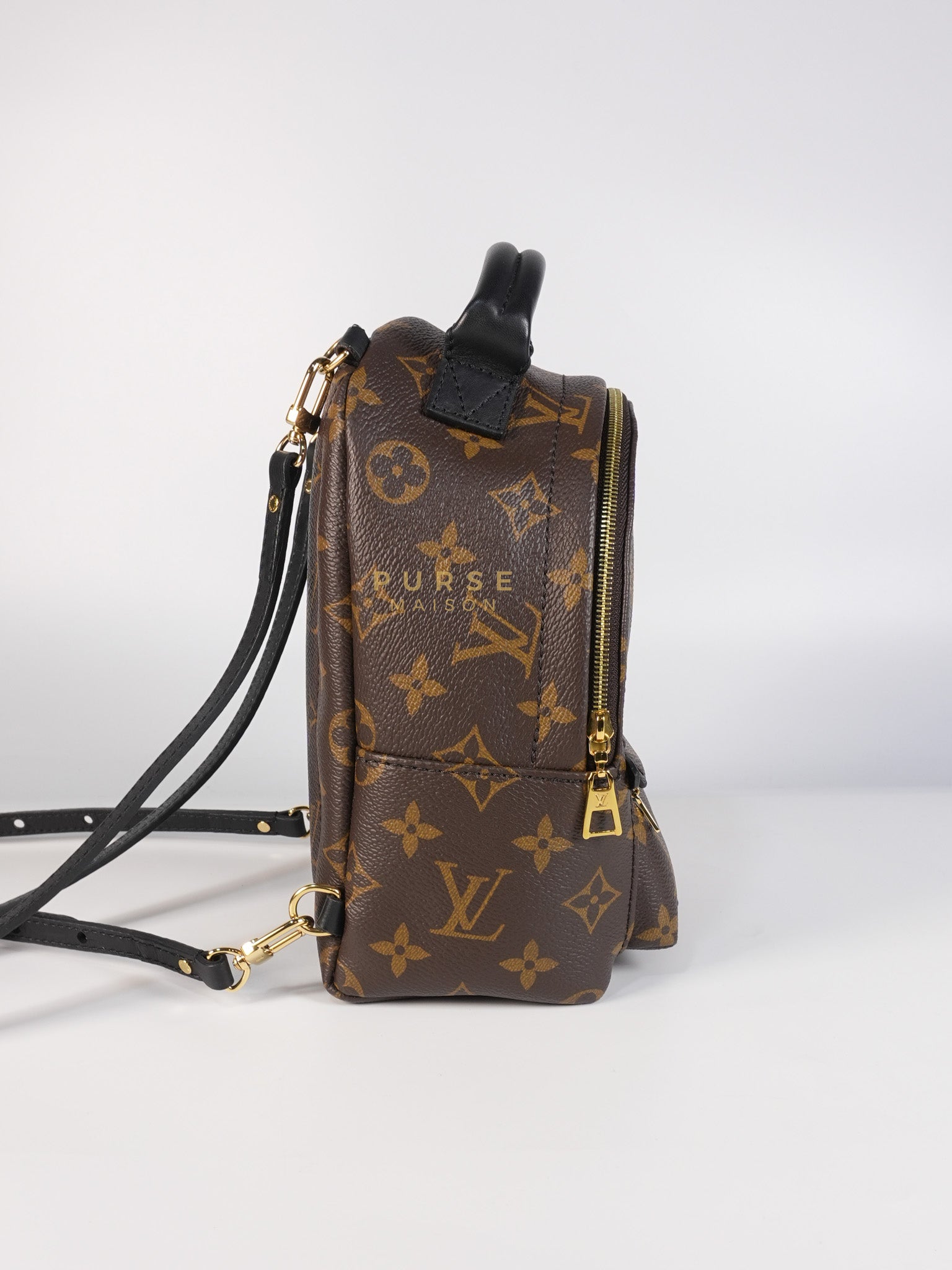 Palm Spring Mini Backpack in Monogram Canvas & Gold Hardware Microchip | Purse Maison Luxury Bags Shop