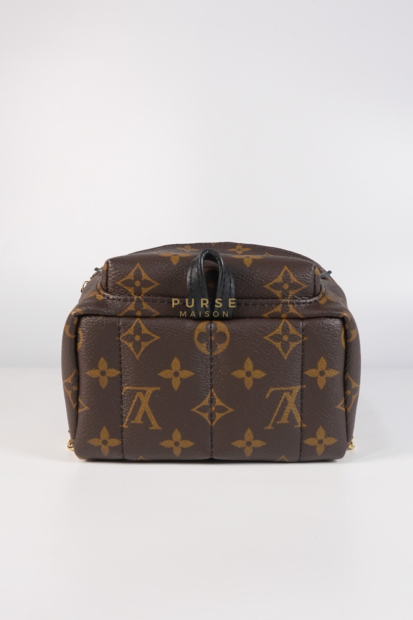 Palm Spring Mini Backpack in Monogram Canvas & Gold Hardware Microchip | Purse Maison Luxury Bags Shop