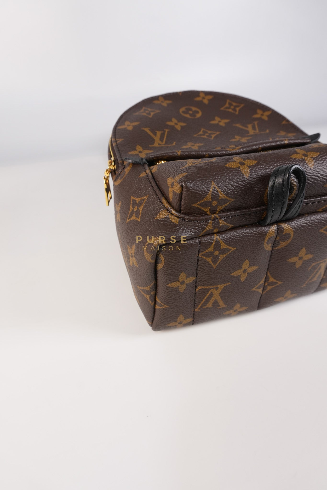 Palm Spring Mini Backpack in Monogram Canvas & Gold Hardware Microchip | Purse Maison Luxury Bags Shop