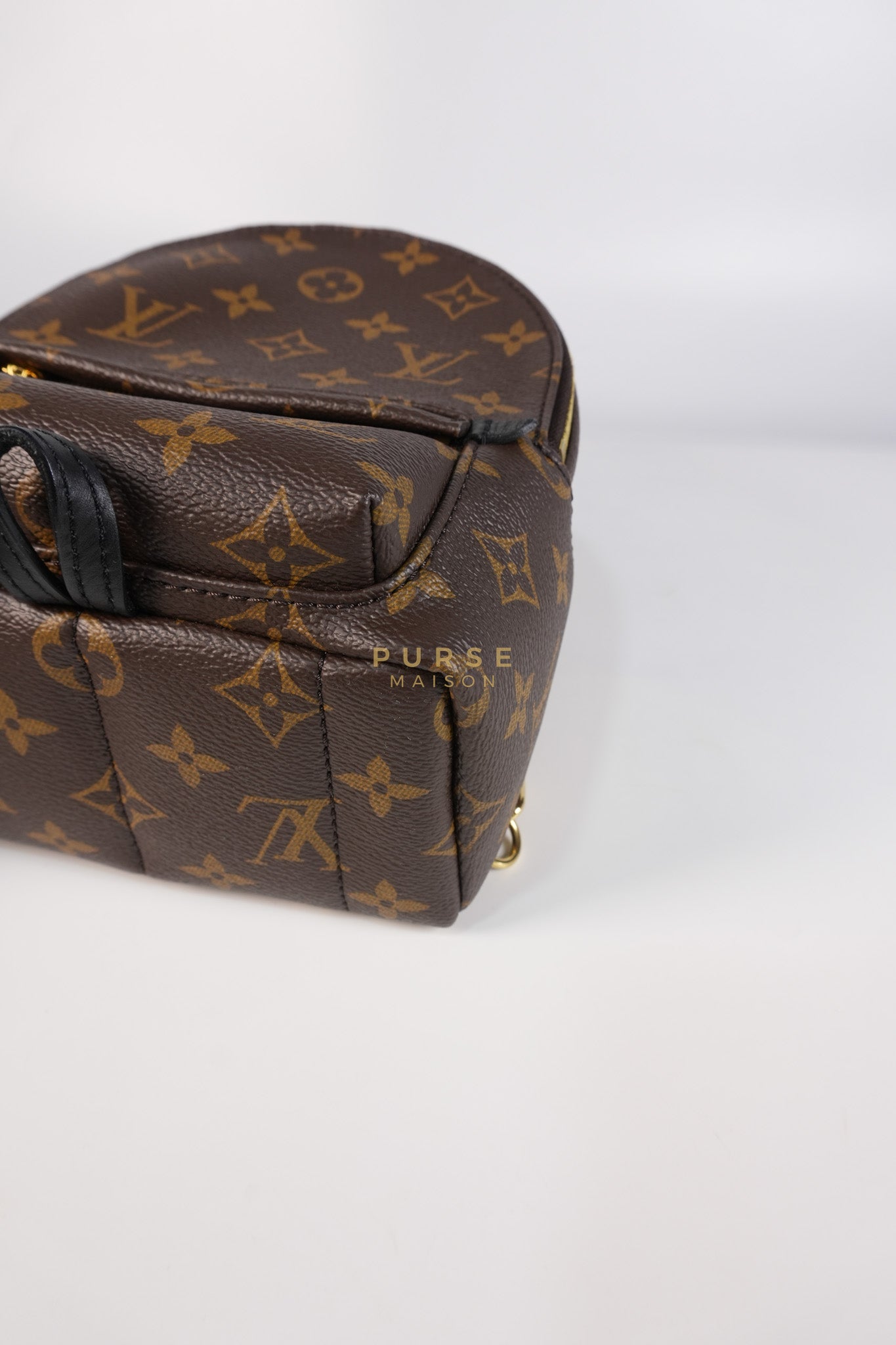 Palm Spring Mini Backpack in Monogram Canvas & Gold Hardware Microchip | Purse Maison Luxury Bags Shop