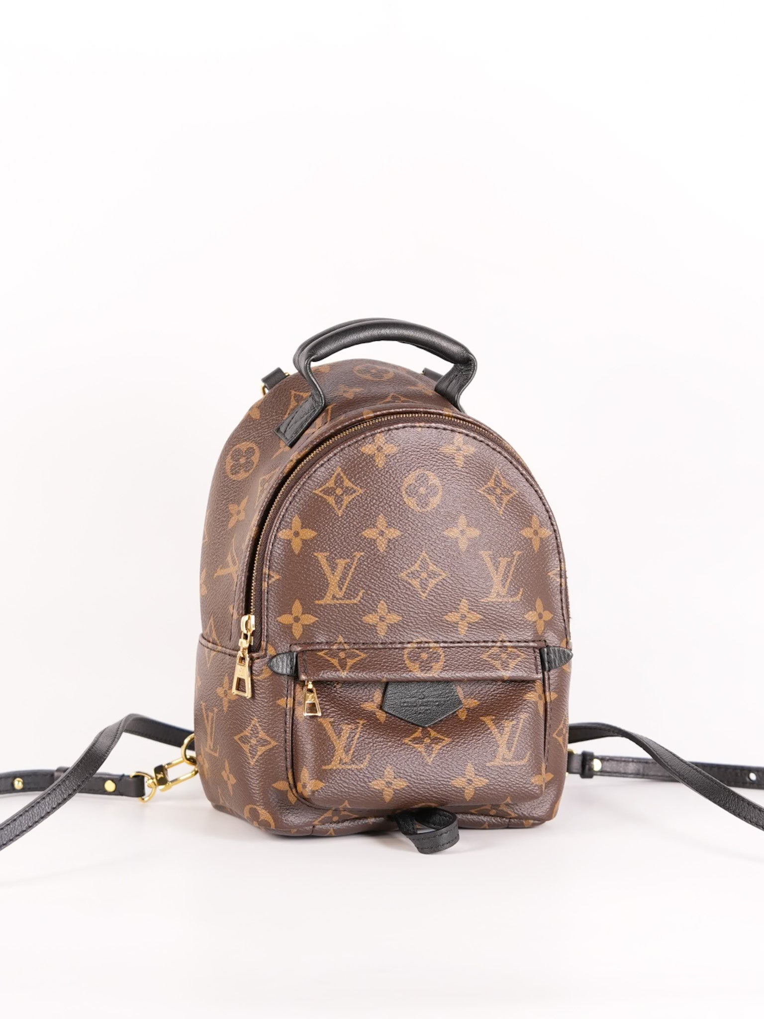 Palm Spring Mini in Monogram Canvas & Gold Hardware Microchip | Purse Maison Luxury Bags Shop