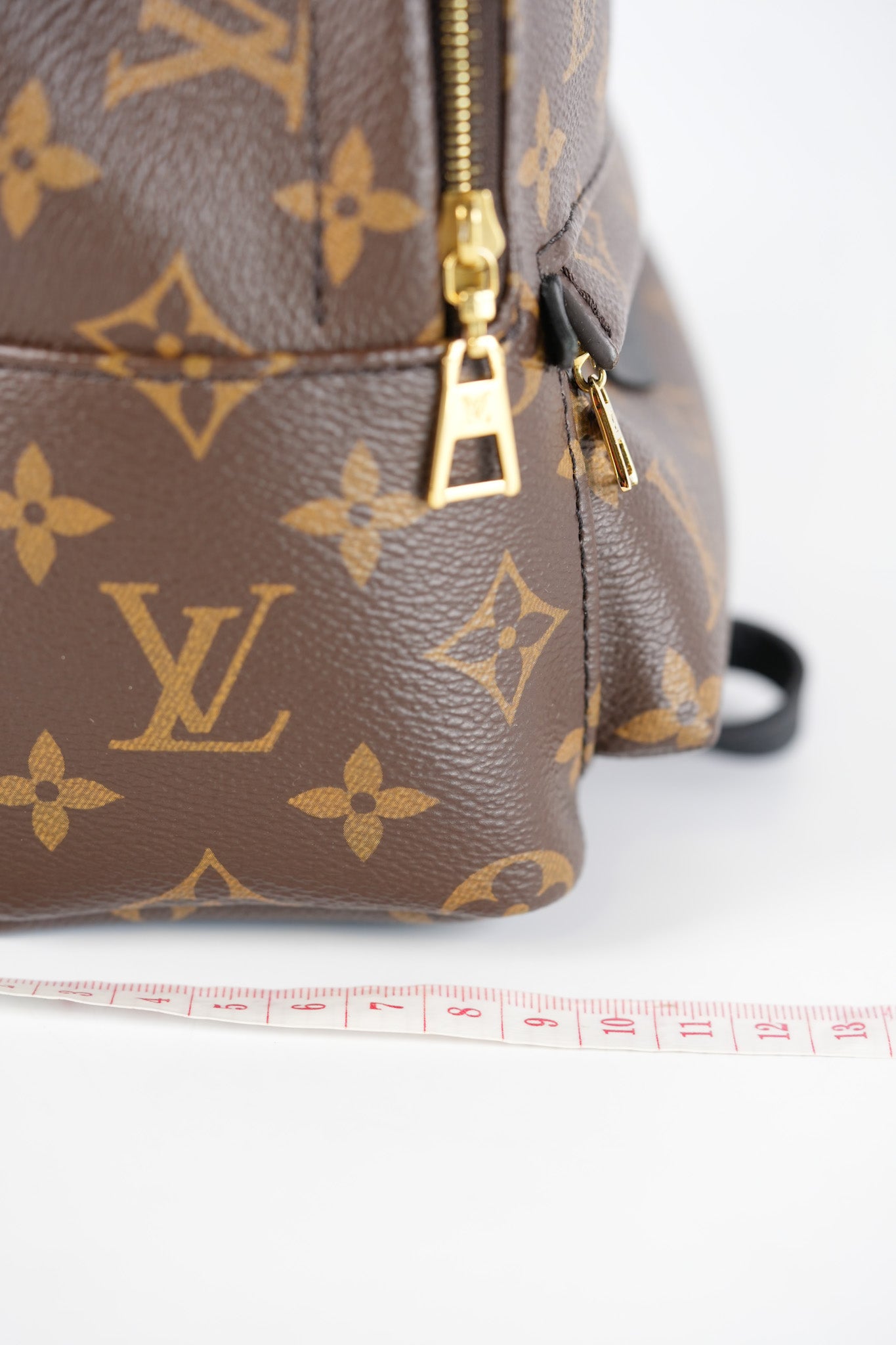 Palm Spring Mini in Monogram Canvas & Gold Hardware Microchip | Purse Maison Luxury Bags Shop