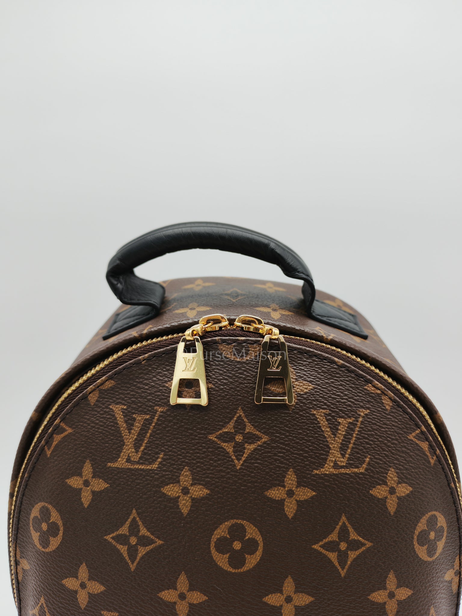 Palm Springs PM in Monogram Canvas Backpack (Microchip) | Purse Maison Luxury Bags Shop