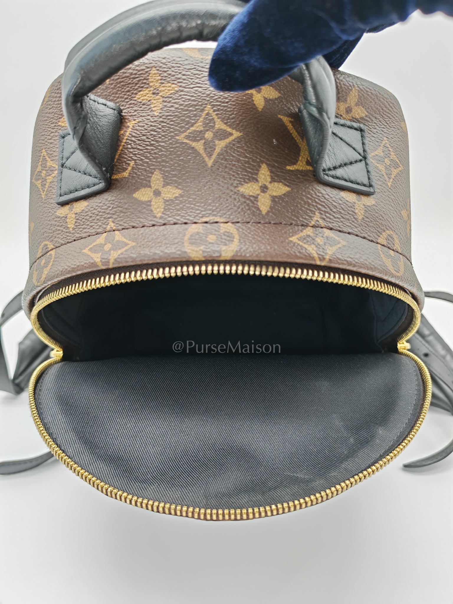 Palm Springs PM in Monogram Canvas Backpack (Microchip) | Purse Maison Luxury Bags Shop