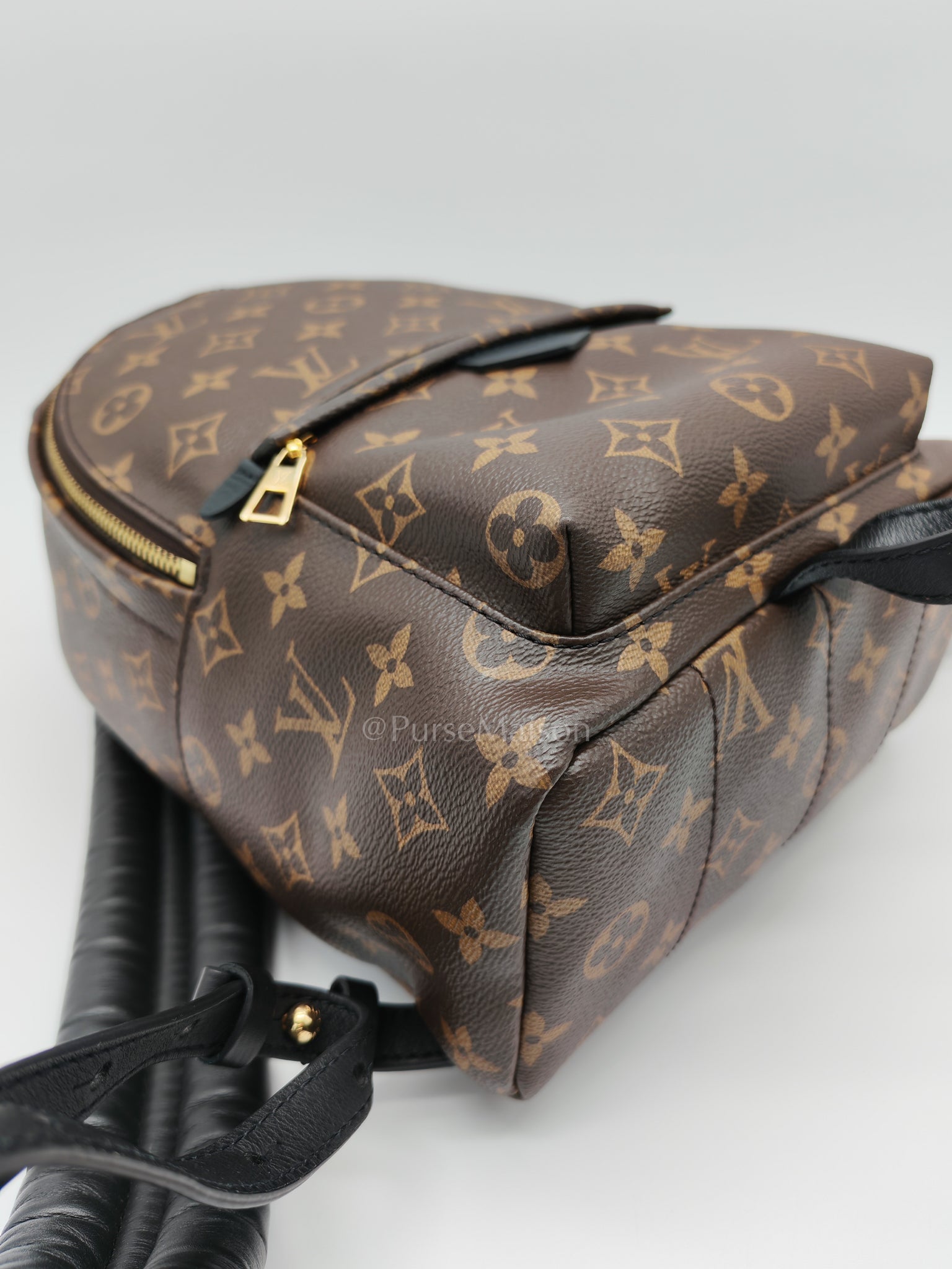 Palm Springs PM in Monogram Canvas Backpack (Microchip) | Purse Maison Luxury Bags Shop