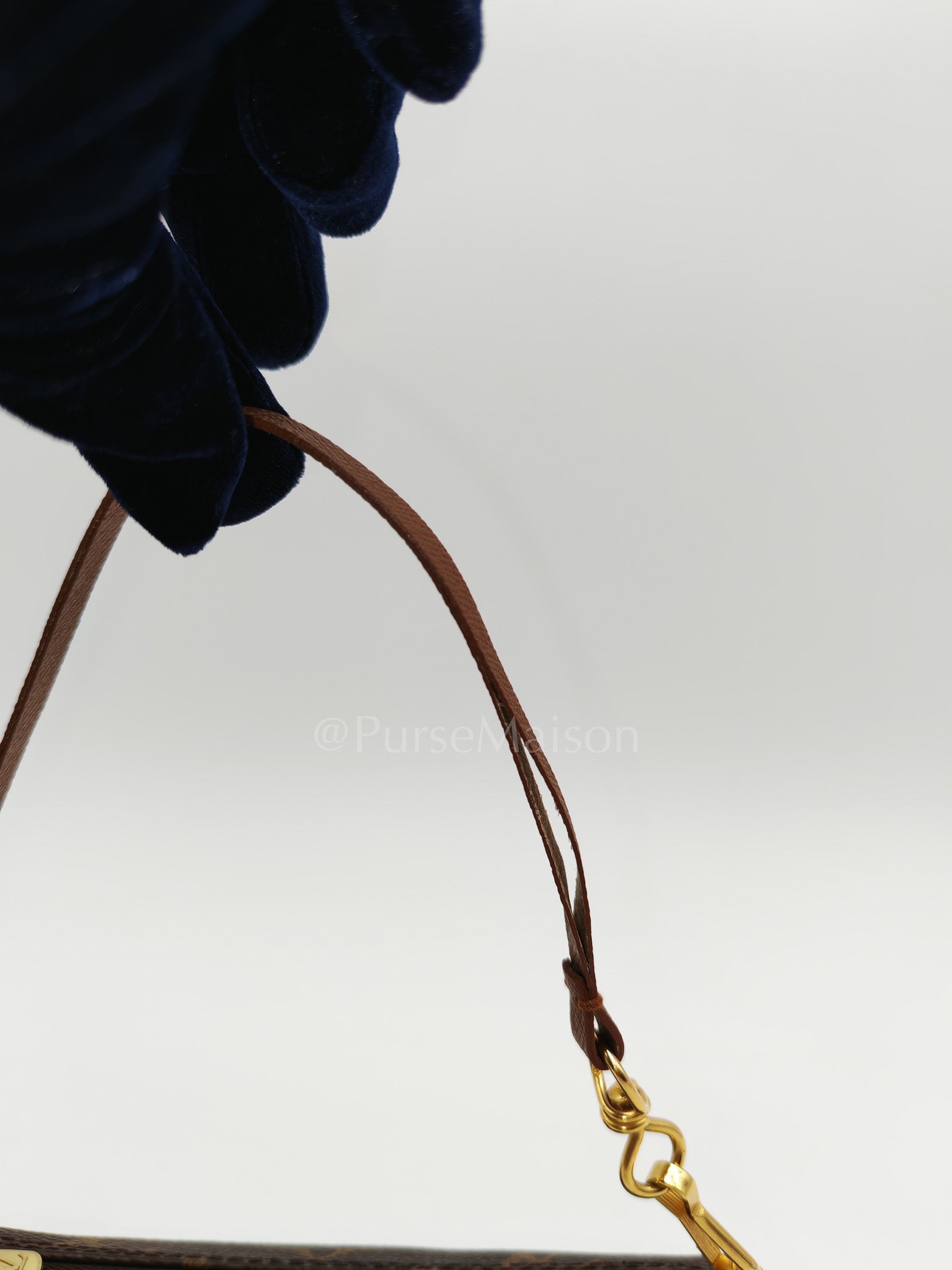 Papillon Mini Pochette in Monogram Canvas & Gold Hardware | Purse Maison Luxury Bags Shop