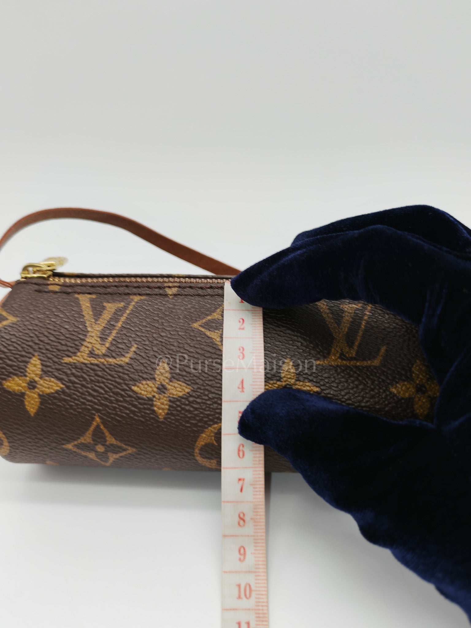 Papillon Mini Pochette in Monogram Canvas & Gold Hardware | Purse Maison Luxury Bags Shop