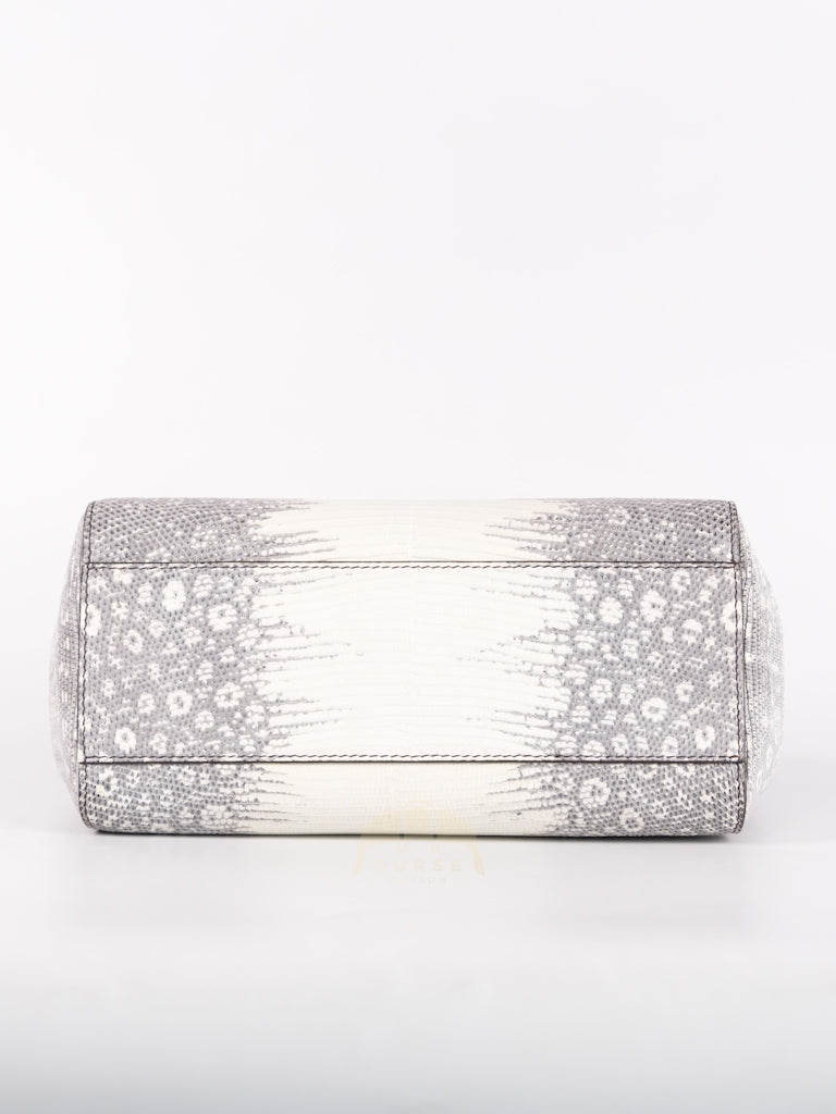 Peekaboo Mini in Lizard Gradient Gray Palladium Hardware | Purse Maison Luxury Bags Shop