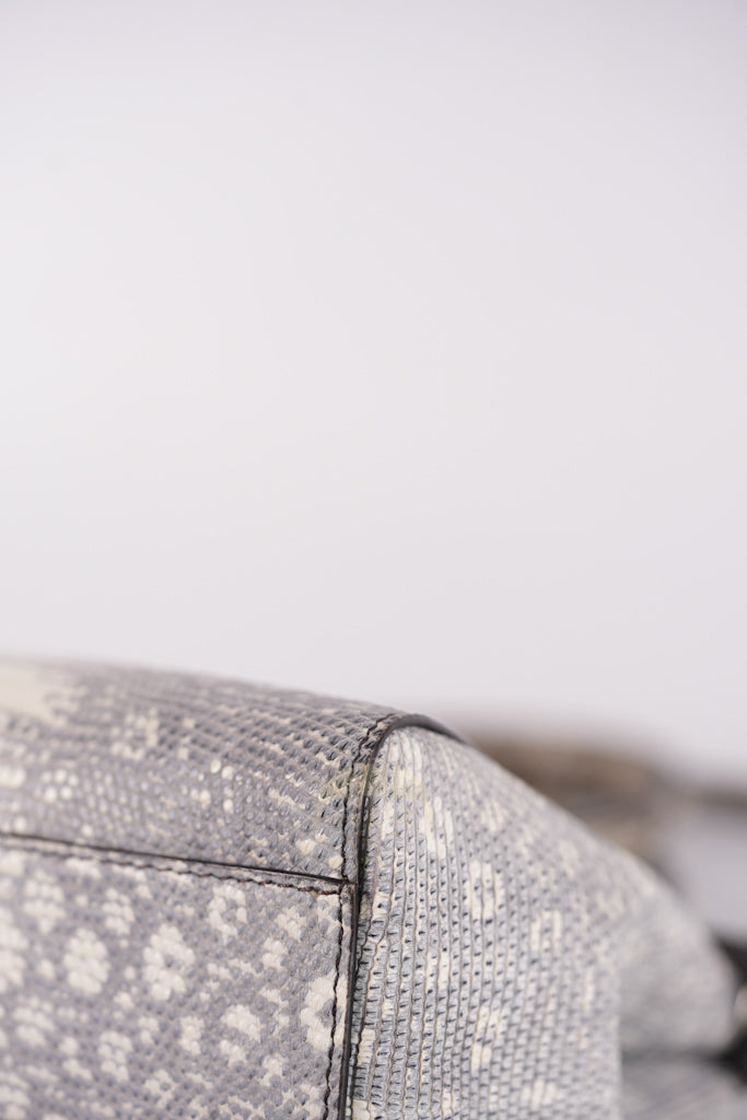 Peekaboo Mini in Lizard Gradient Gray Palladium Hardware | Purse Maison Luxury Bags Shop