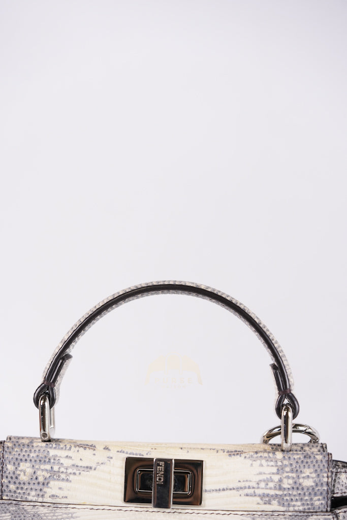 Peekaboo Mini in Lizard Gradient Gray Palladium Hardware | Purse Maison Luxury Bags Shop