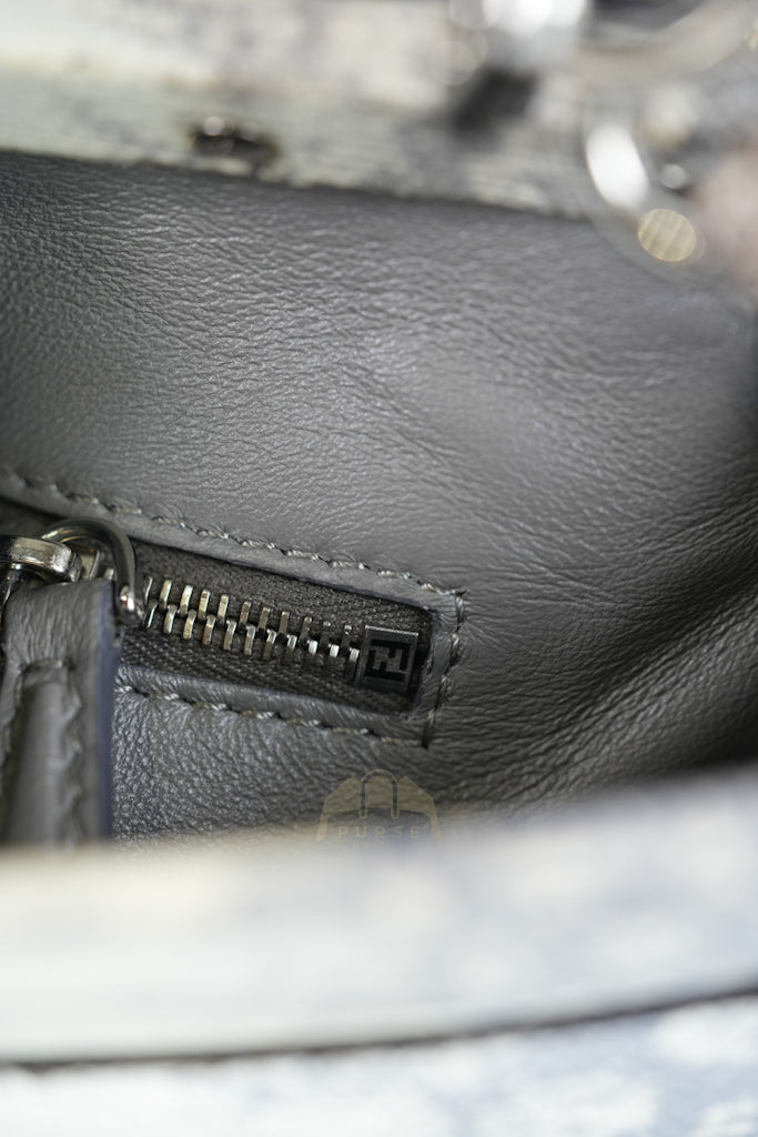Peekaboo Mini in Lizard Gradient Gray Palladium Hardware | Purse Maison Luxury Bags Shop