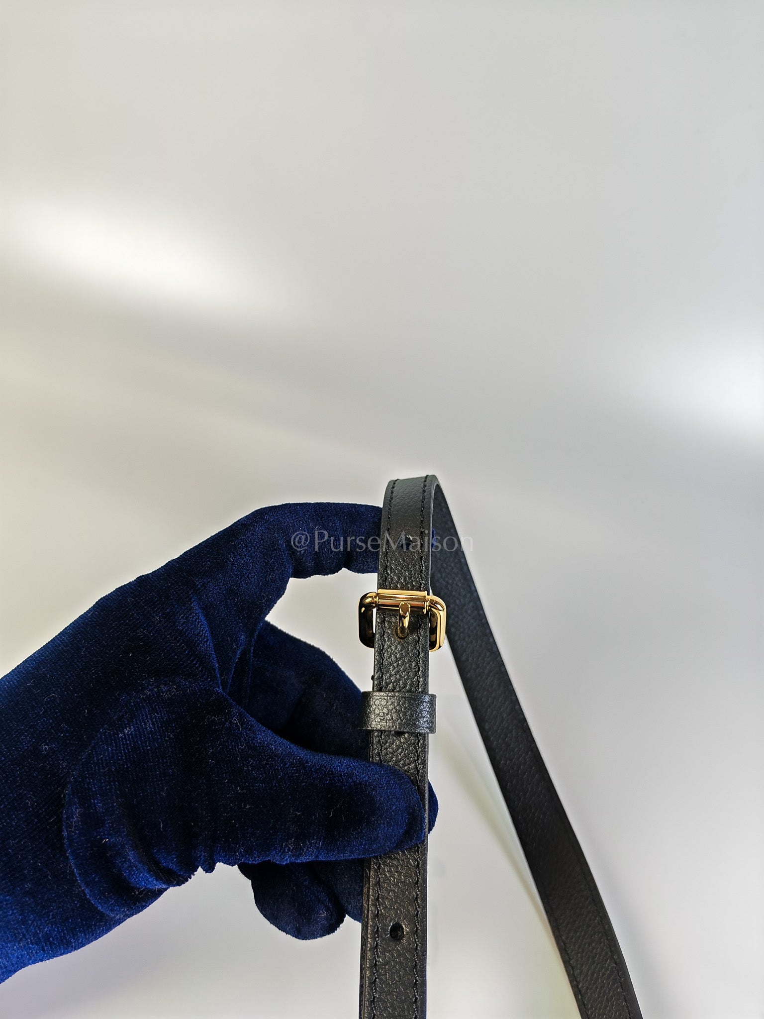 Petit Palais PM Bicolor Monogram Leather (Microchip) | Purse Maison Luxury Bags Shop