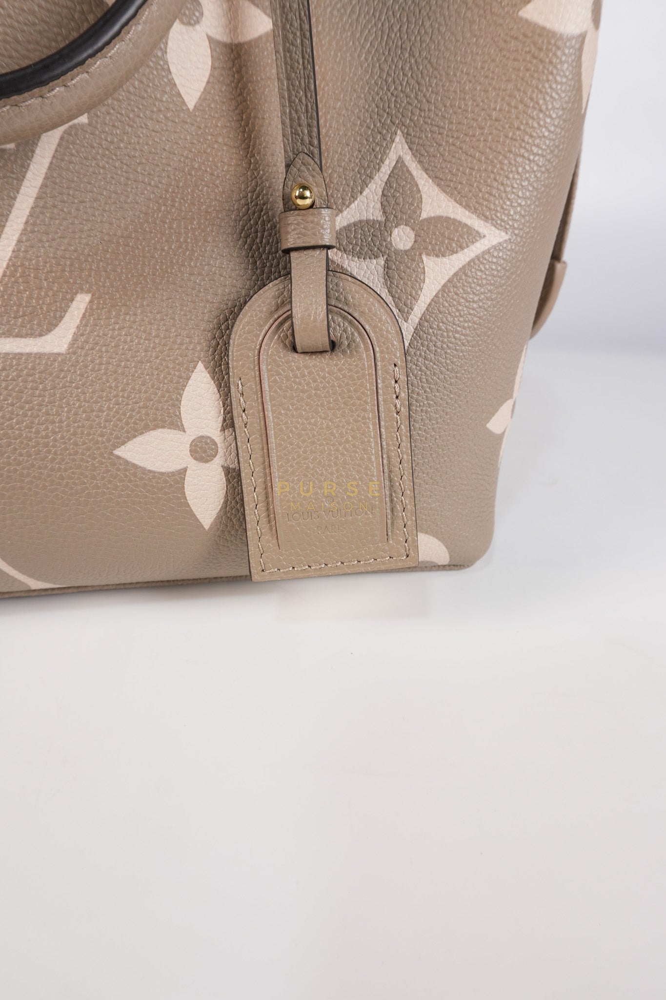 Petit Palais PM Hand Bag in Monogram Empreinte Canvas & Gold Hardware Microchip | Purse Maison Luxury Bags Shop