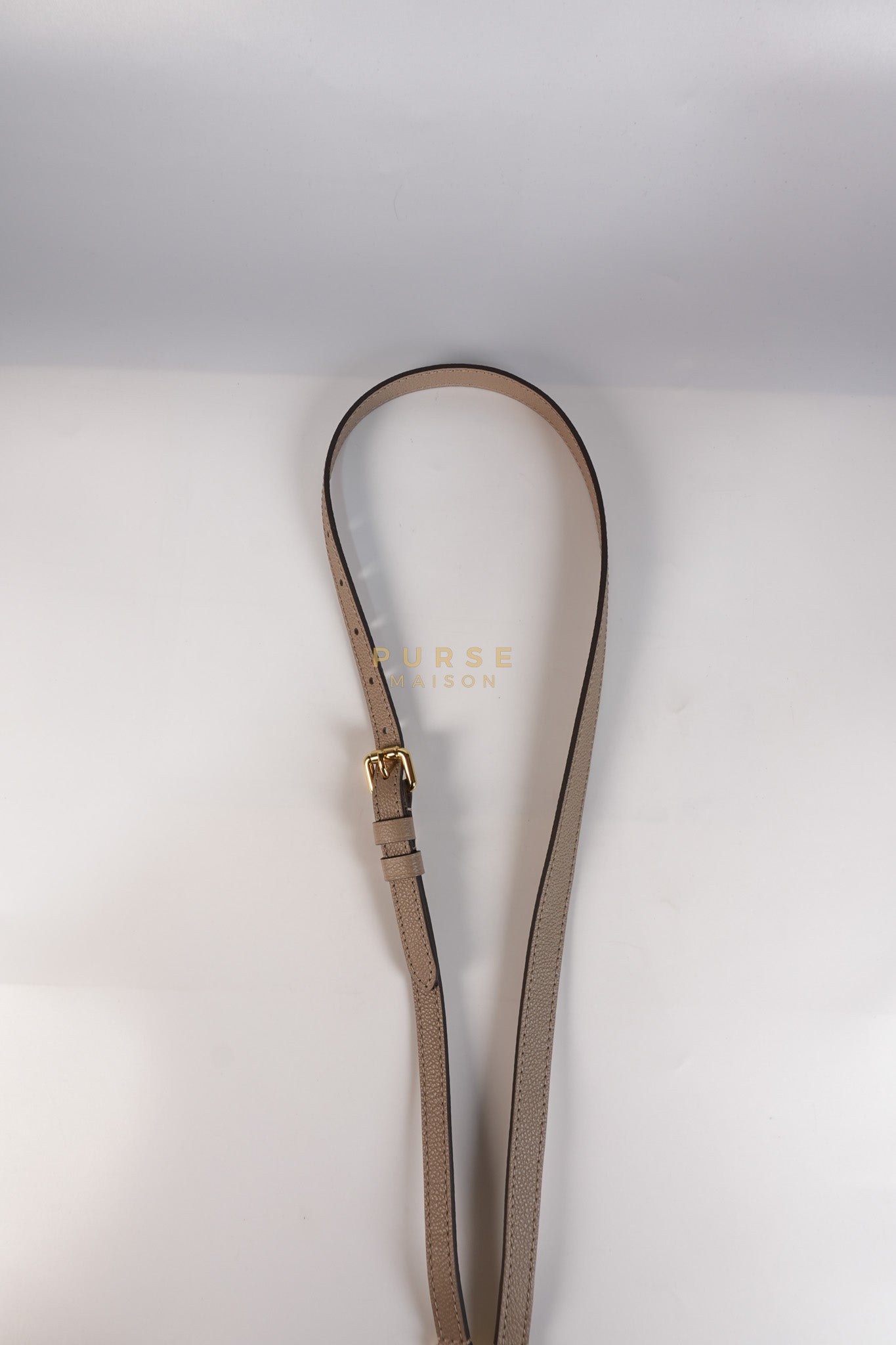 Petit Palais PM Hand Bag in Monogram Empreinte Canvas & Gold Hardware Microchip | Purse Maison Luxury Bags Shop