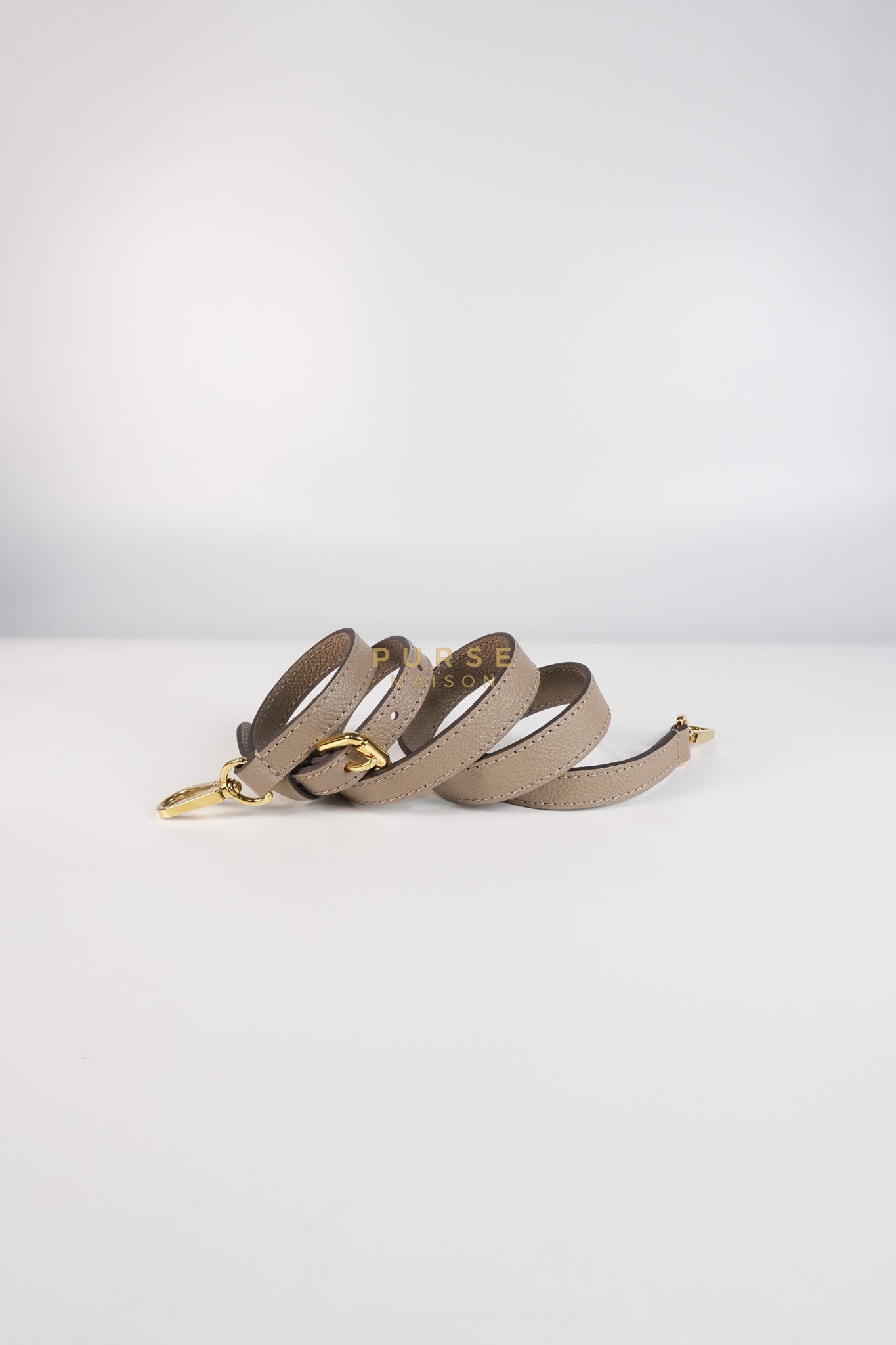 Petit Palais PM Hand Bag in Monogram Empreinte Canvas & Gold Hardware Microchip | Purse Maison Luxury Bags Shop