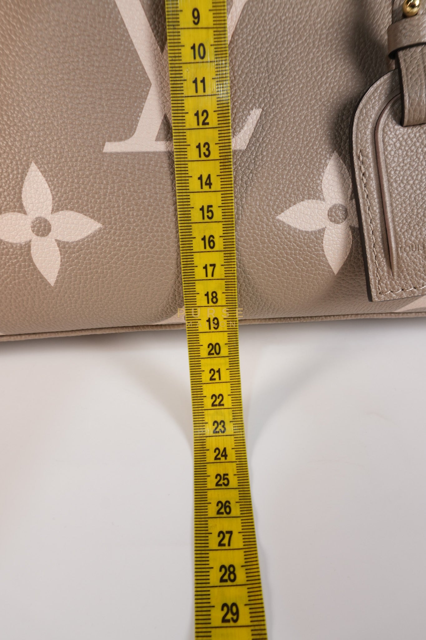 Petit Palais PM Hand Bag in Monogram Empreinte Canvas & Gold Hardware Microchip | Purse Maison Luxury Bags Shop