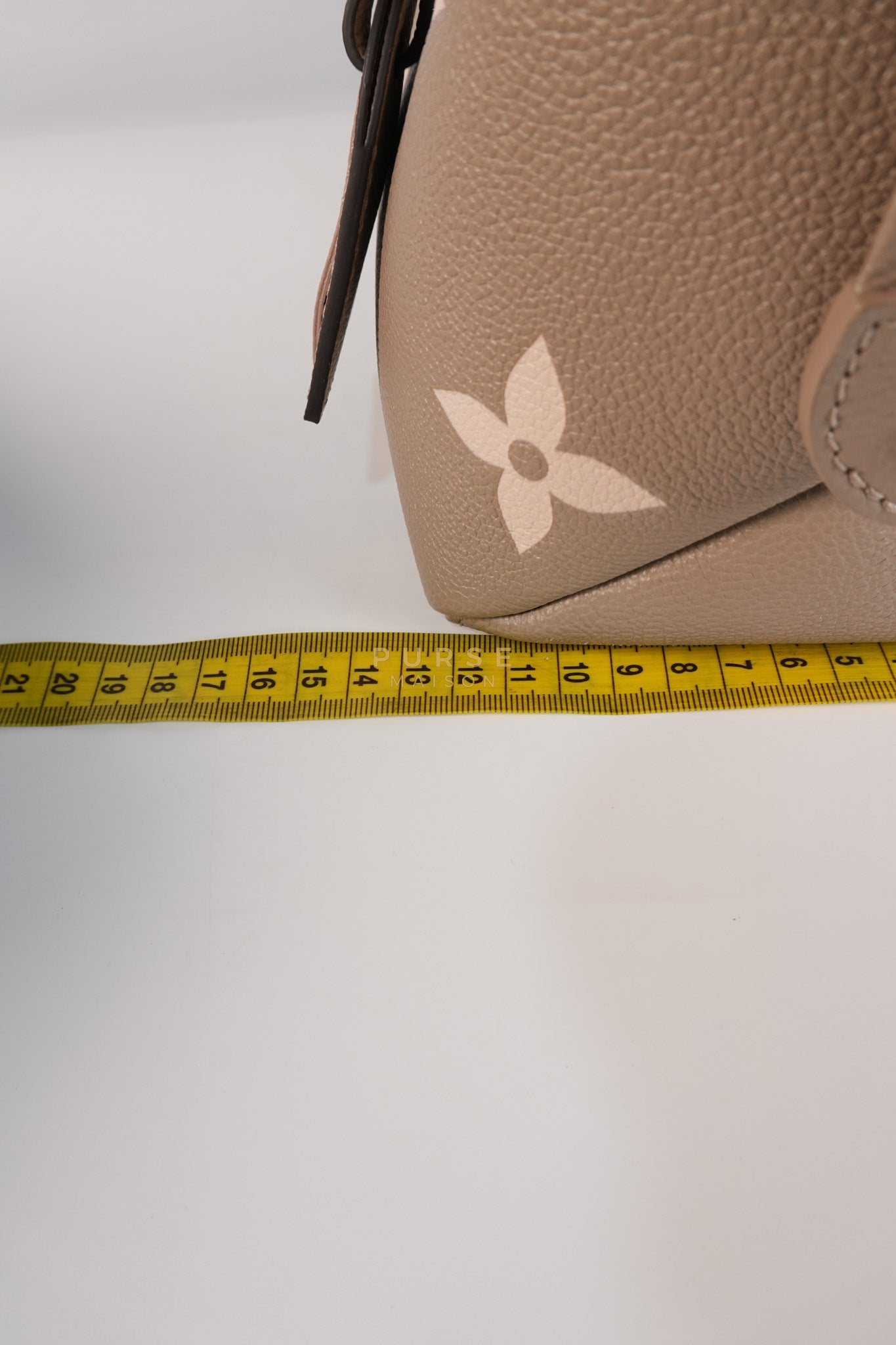 Petit Palais PM Hand Bag in Monogram Empreinte Canvas & Gold Hardware Microchip | Purse Maison Luxury Bags Shop