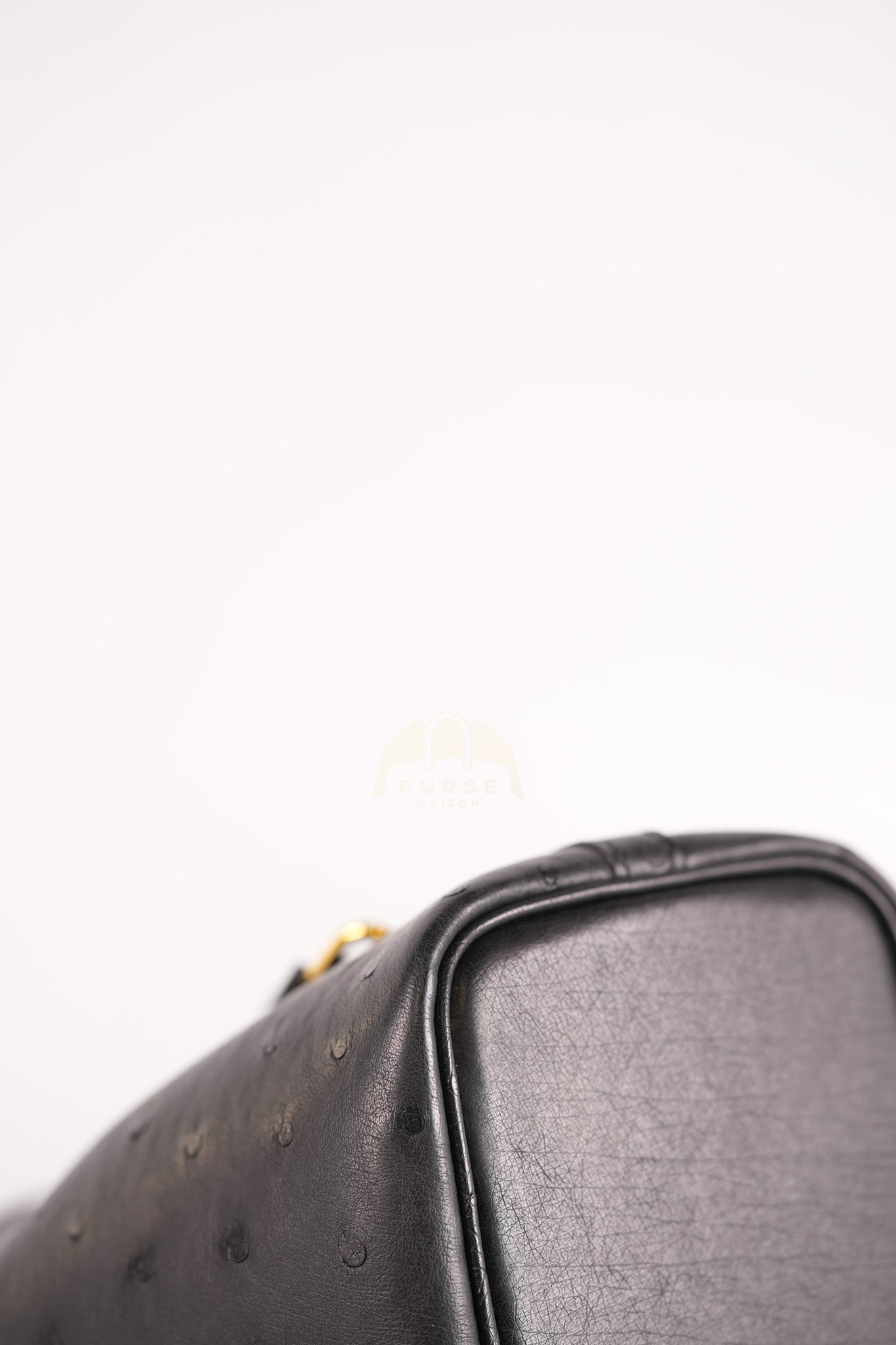 Picotin Micro in Black Ostrich Leather and Gold Hardware Stamp W (2024) | Purse Maison Luxury Bags Shop