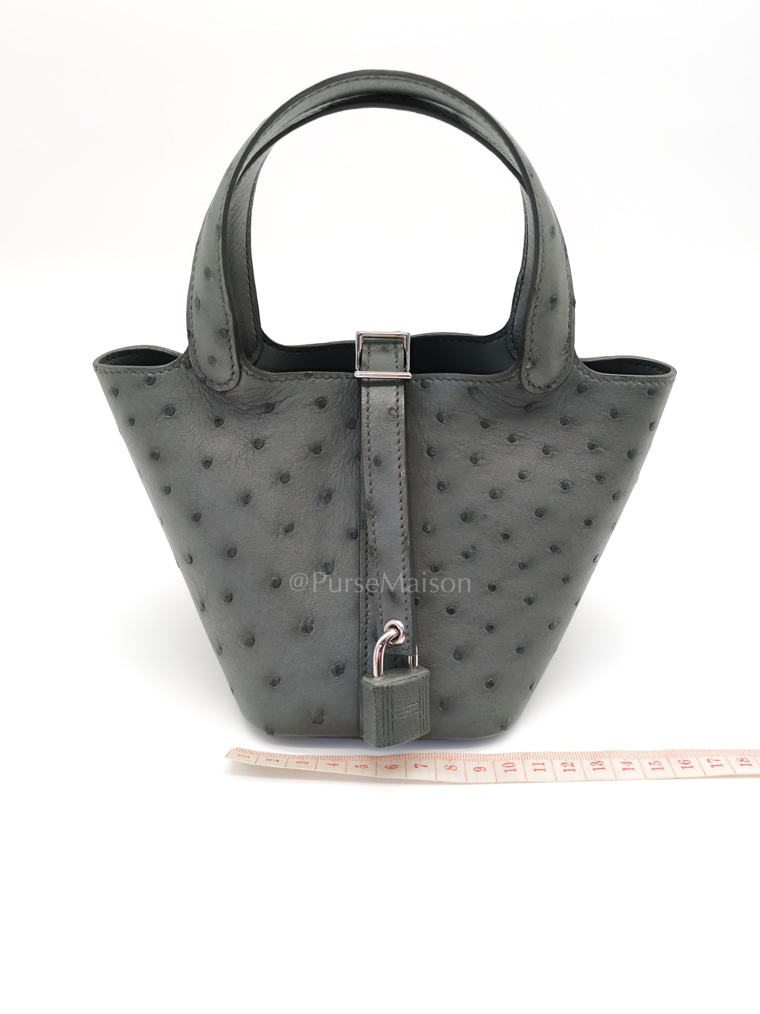 Picotin Nano in Vert Amande Ostrich Leather and Palladium Hardware Stamp W (2024) | Purse Maison Luxury Bags Shop