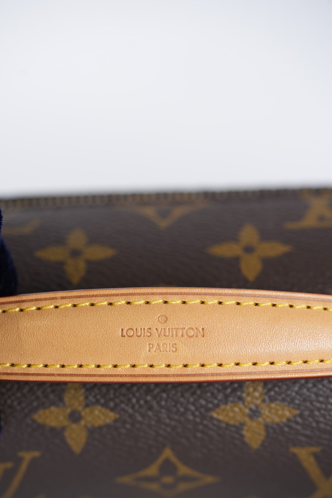 Pochette Metis East West in Monogram Canvas & Gold Hardware Microchip | Purse Maison Luxury Bags Shop