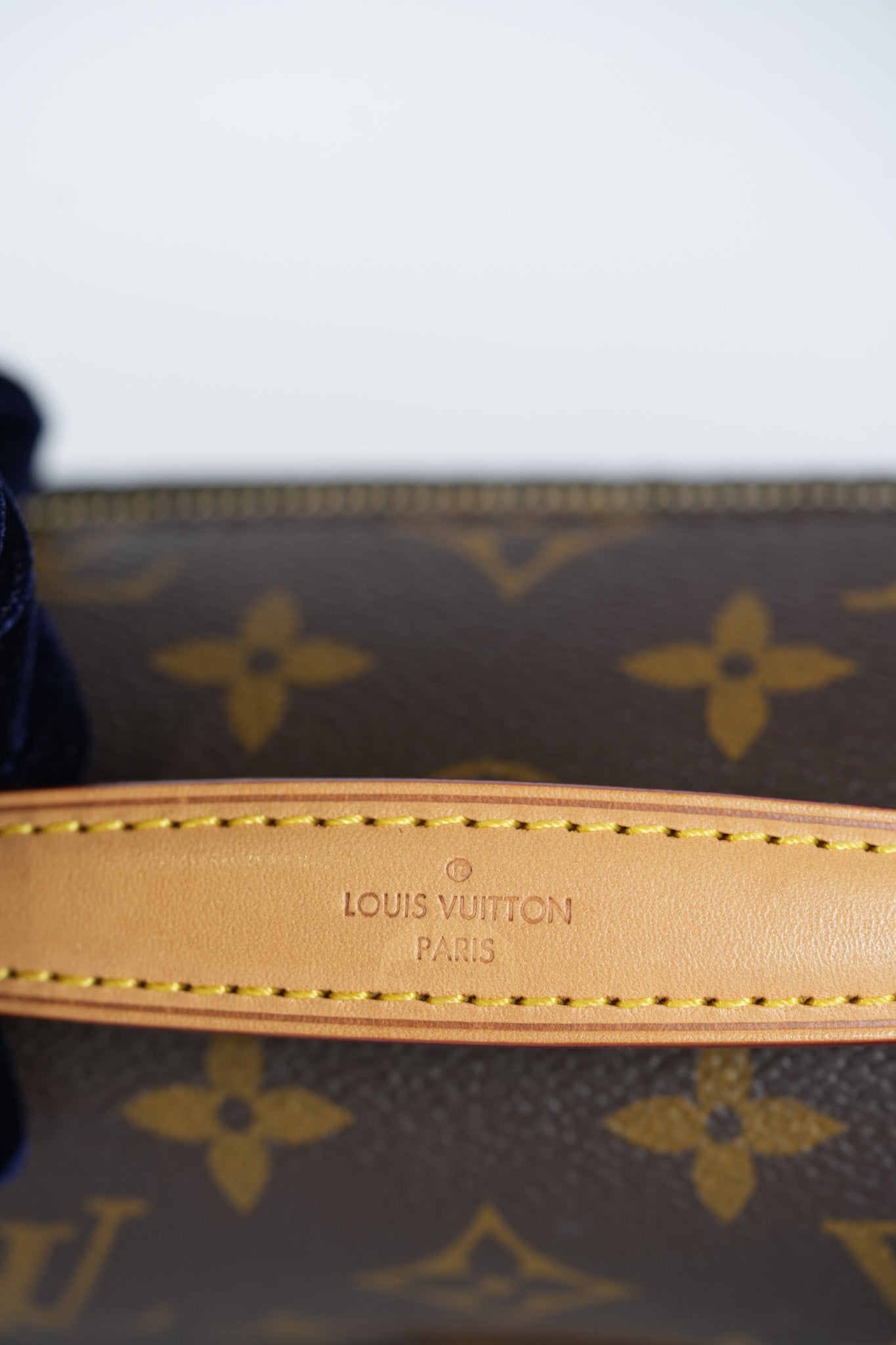Pochette Metis East West in Monogram Canvas & Gold Hardware Microchip | Purse Maison Luxury Bags Shop