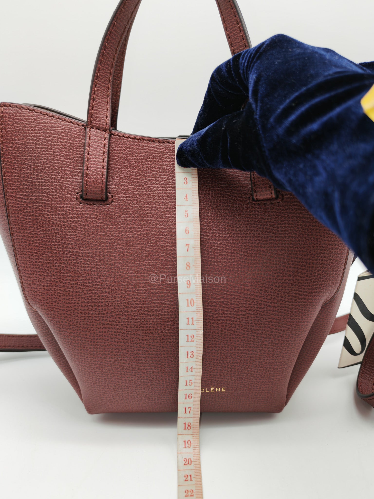 Polene Cyme Nano Tote Bag in Black Cherry Graine Leather | Purse Maison Luxury Bags Shop