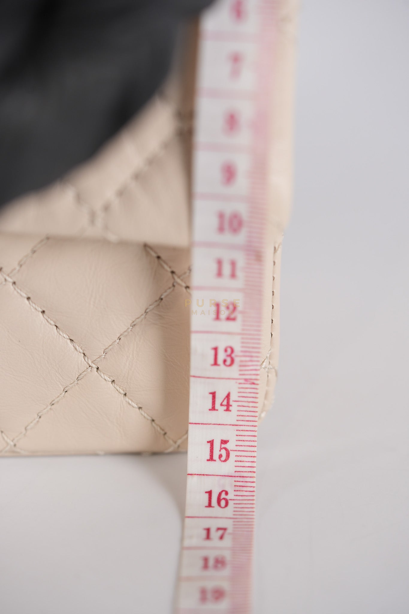 Reissue 2.55 Single Flap Mini in Beige Calfskin Distressed Leather Aged Gold Hardware (Microchip) | Purse Maison Luxury Bags Shop