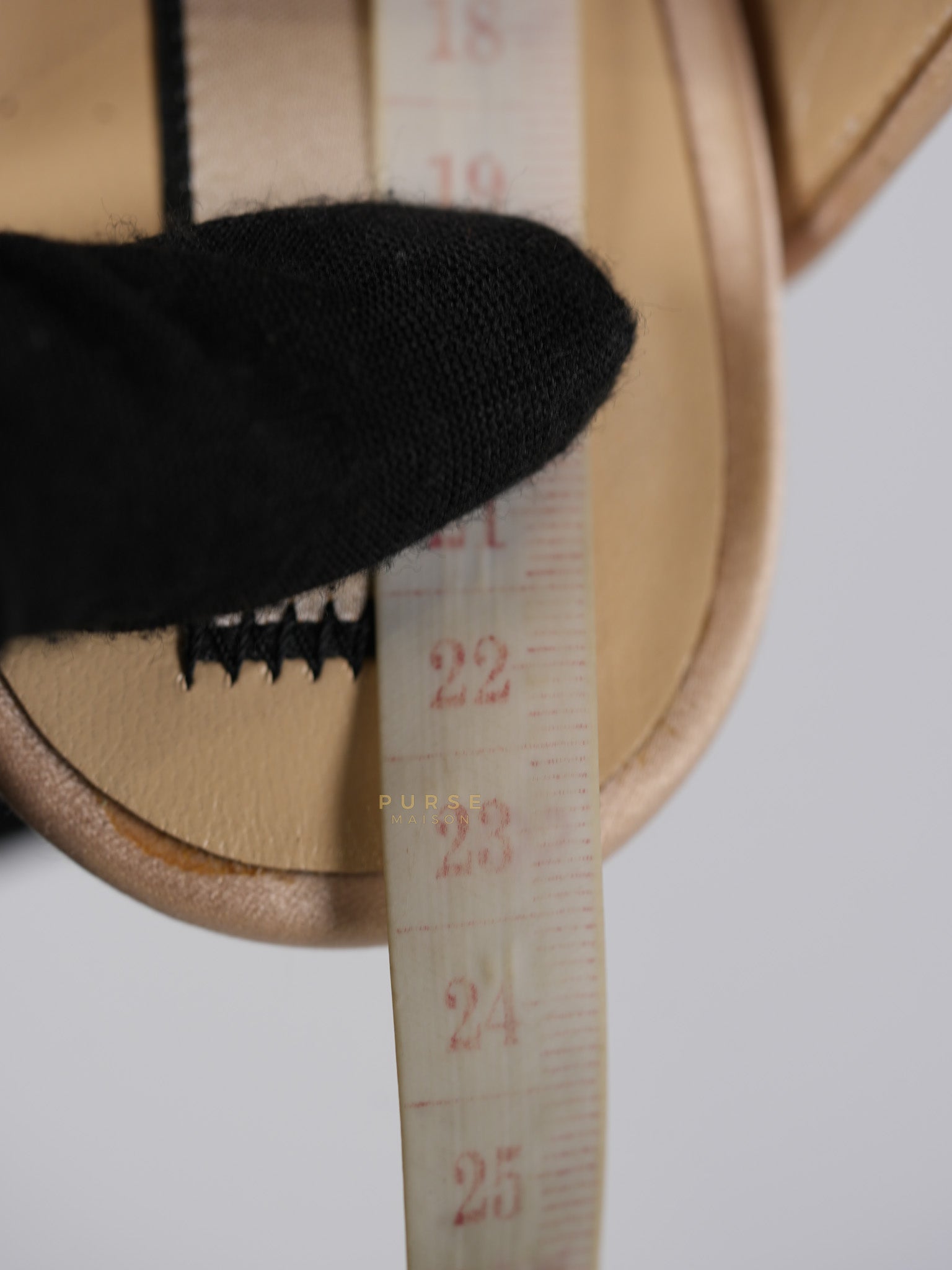 Ronny Pleated Crystal Heels in Cipria Size 35 EU (22 cm) | Purse Maison Luxury Bags Shop