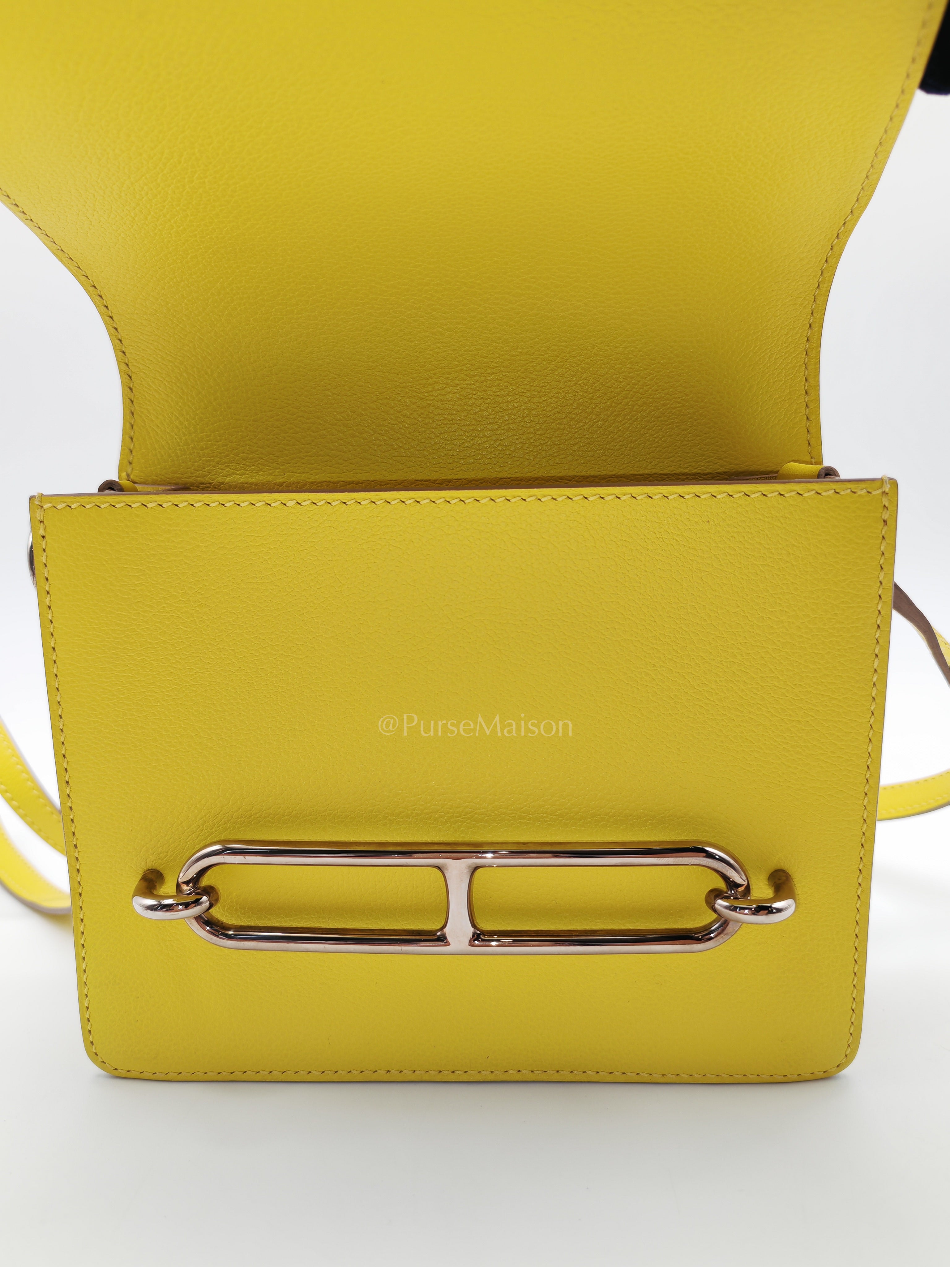 Roulis Mini in Vibrant Lime Evercolor Leather & Light Gold Hardware Stamp D (2019) | Purse Maison Luxury Bags Shop