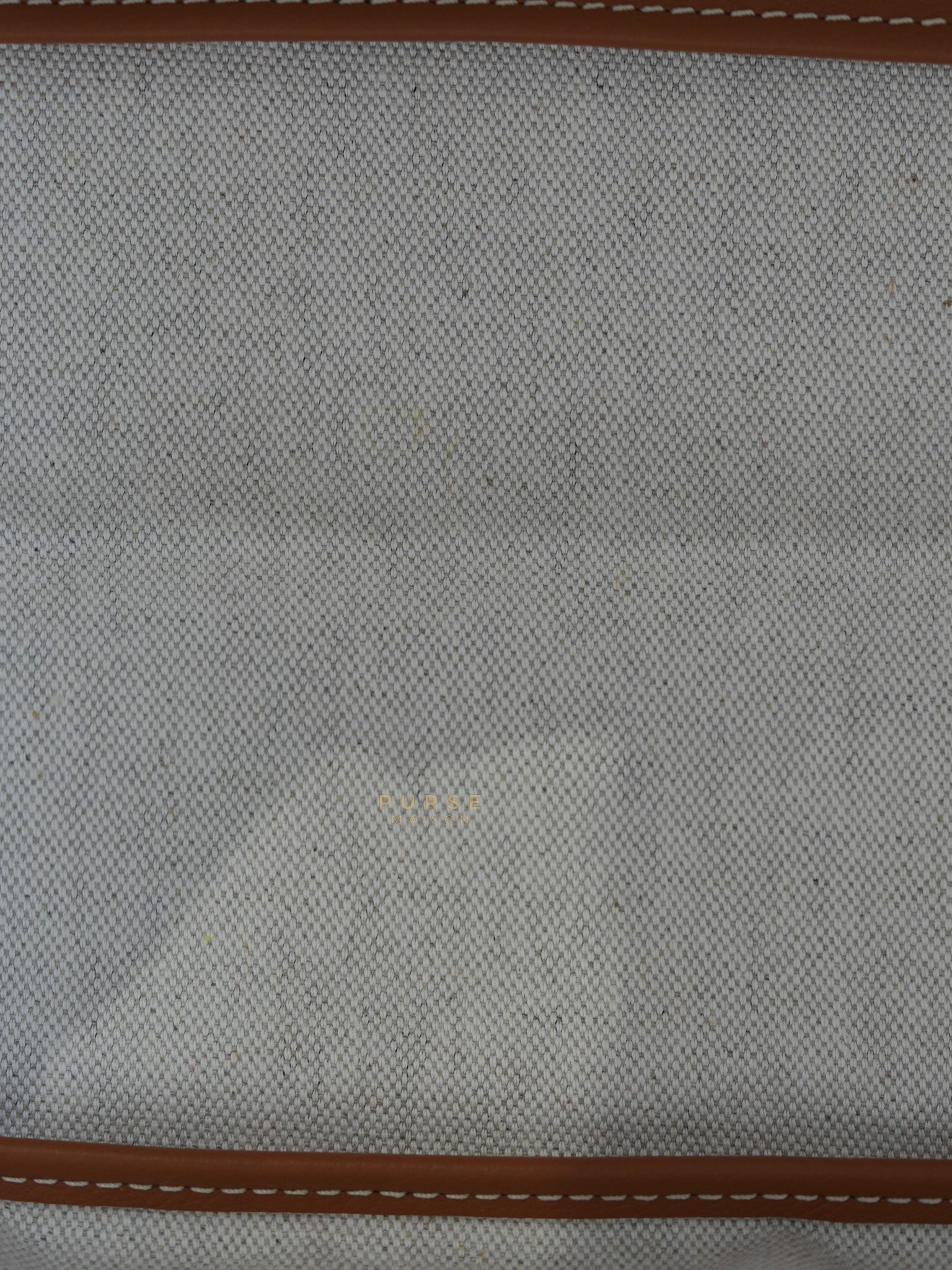 Saint Louis PM Tote Bag in Tan | Purse Maison Luxury Bags Shop