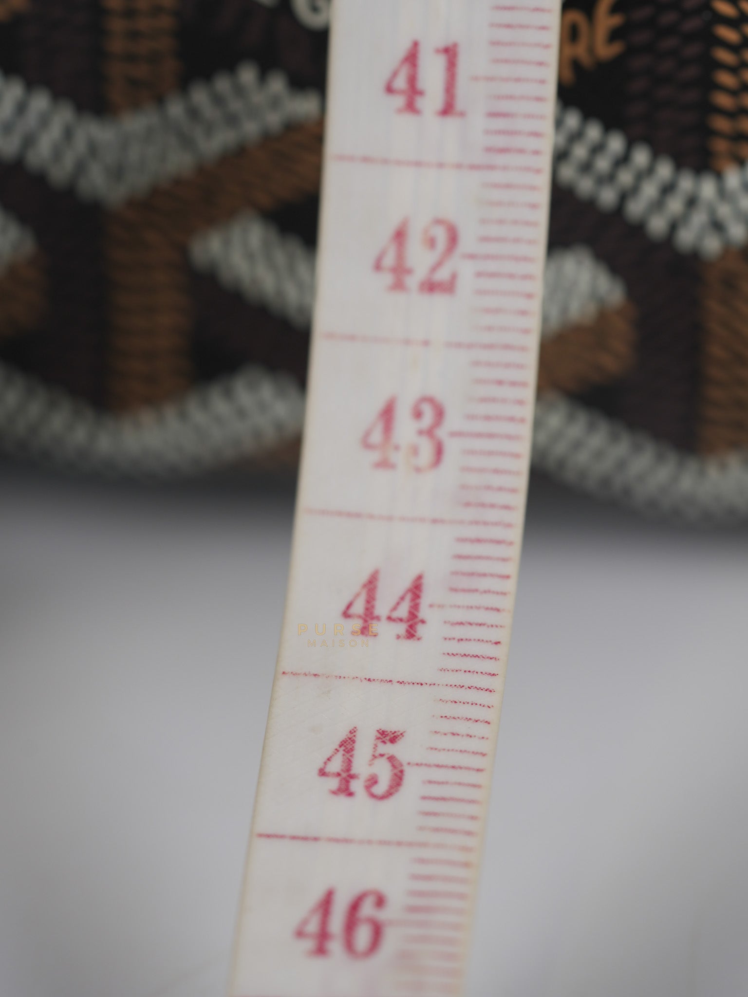 Saint Louis PM Tote Bag in Tan | Purse Maison Luxury Bags Shop