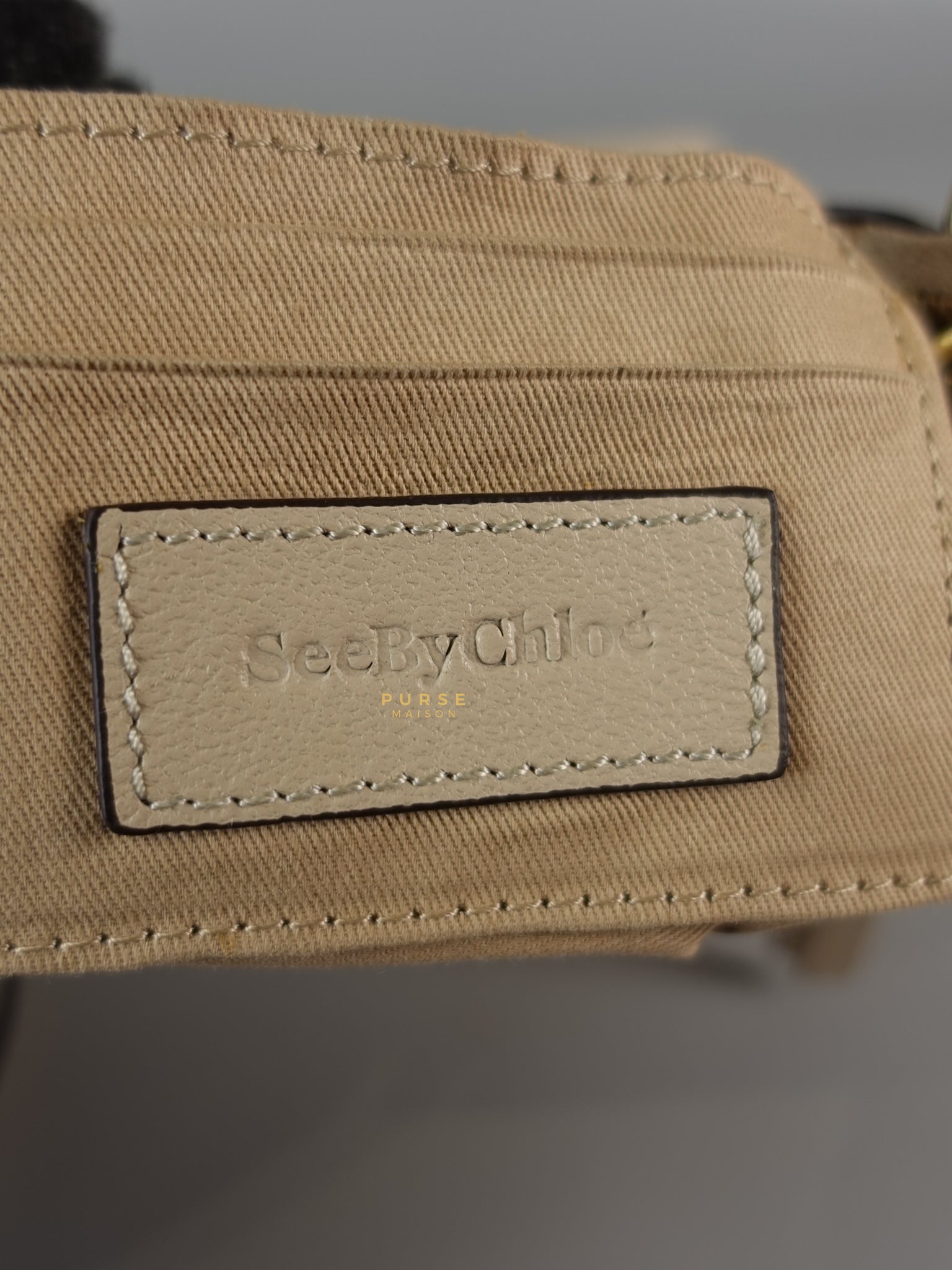 See Mini Beige Leather Shoulder Bag | Purse Maison Luxury Bags Shop