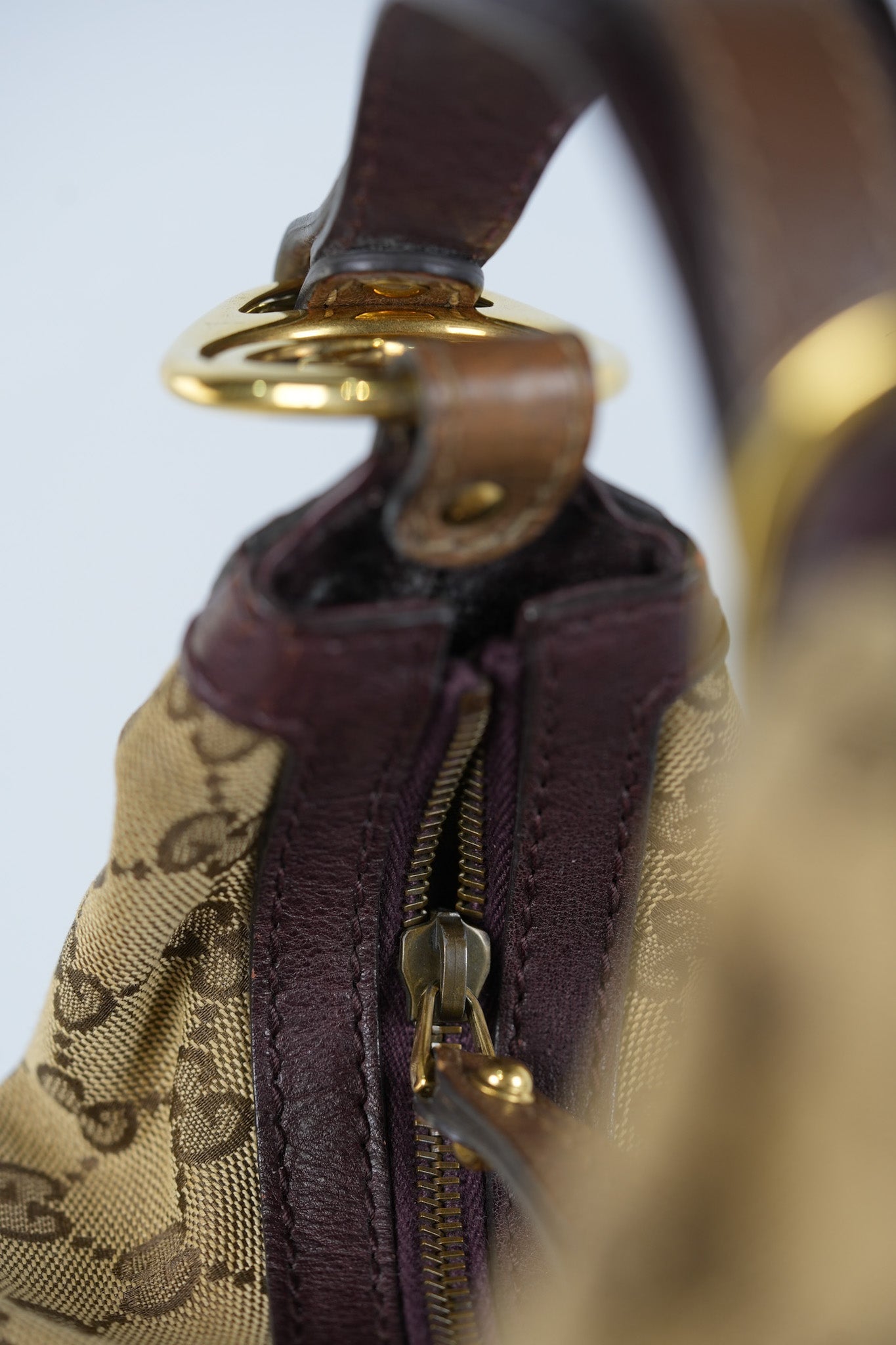 Sukey Hobo Bag in Monogram Canvas Shoulder Bag | Purse Maison Luxury Bags Shop