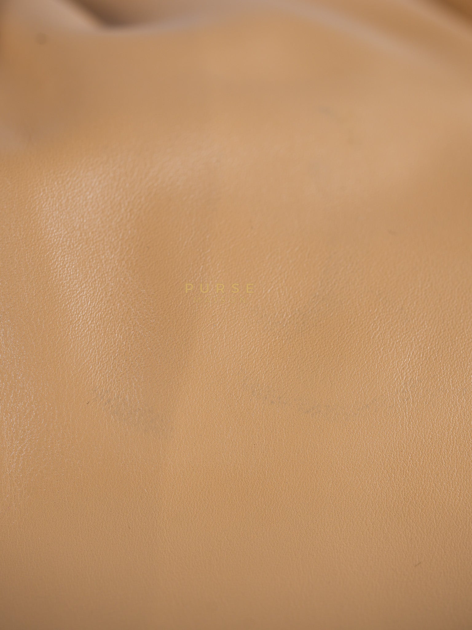 The Chain Pouch Medium in Almond Beige Calfskin Leather | Purse Maison Luxury Bags Shop