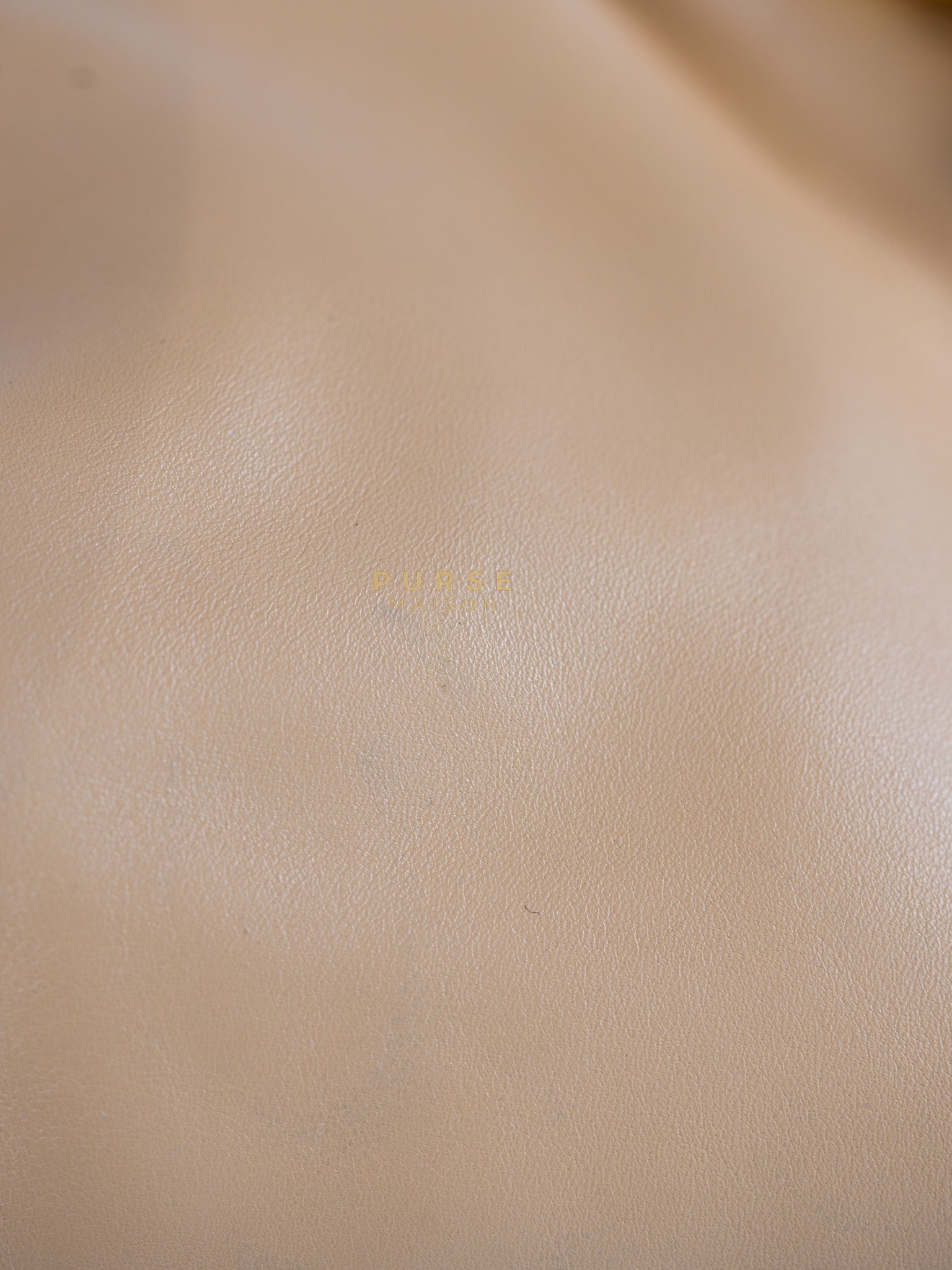 The Chain Pouch Medium in Almond Beige Calfskin Leather | Purse Maison Luxury Bags Shop