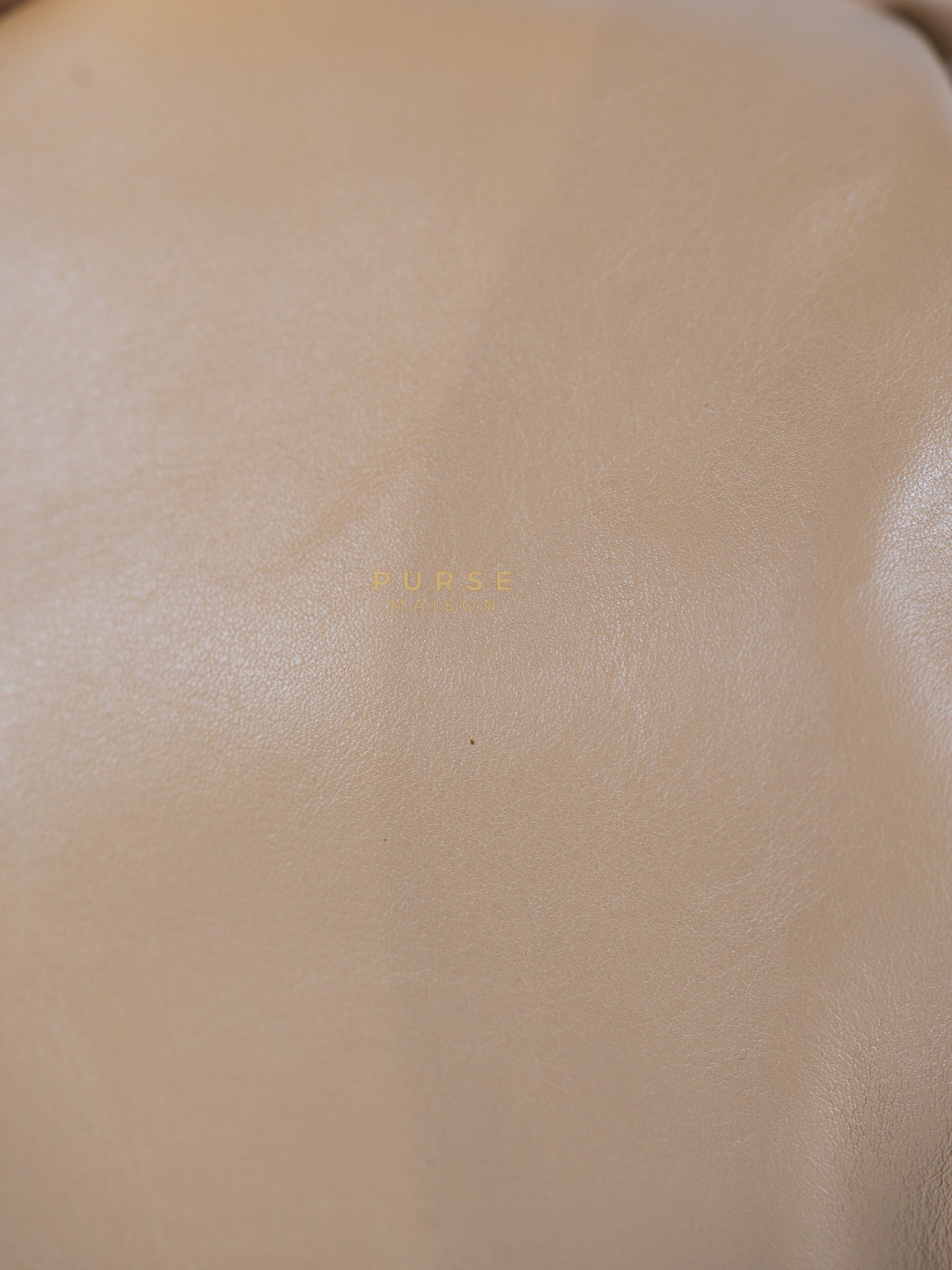 The Chain Pouch Medium in Almond Beige Calfskin Leather | Purse Maison Luxury Bags Shop