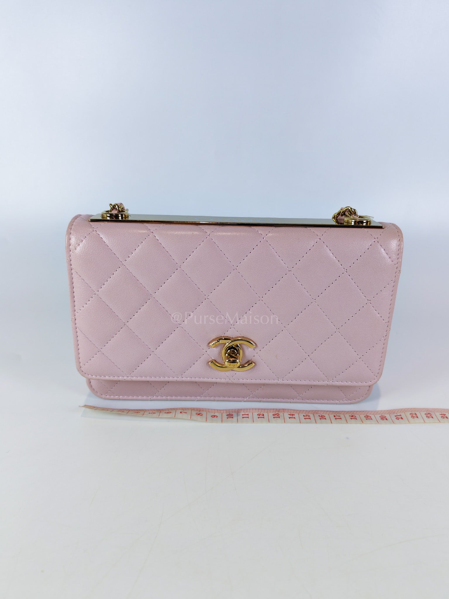 Trendy Wallet On Chain in Pink Lambskin Leather and Gold Hardware Series 31 | Purse Maison Luxury Bags Shop