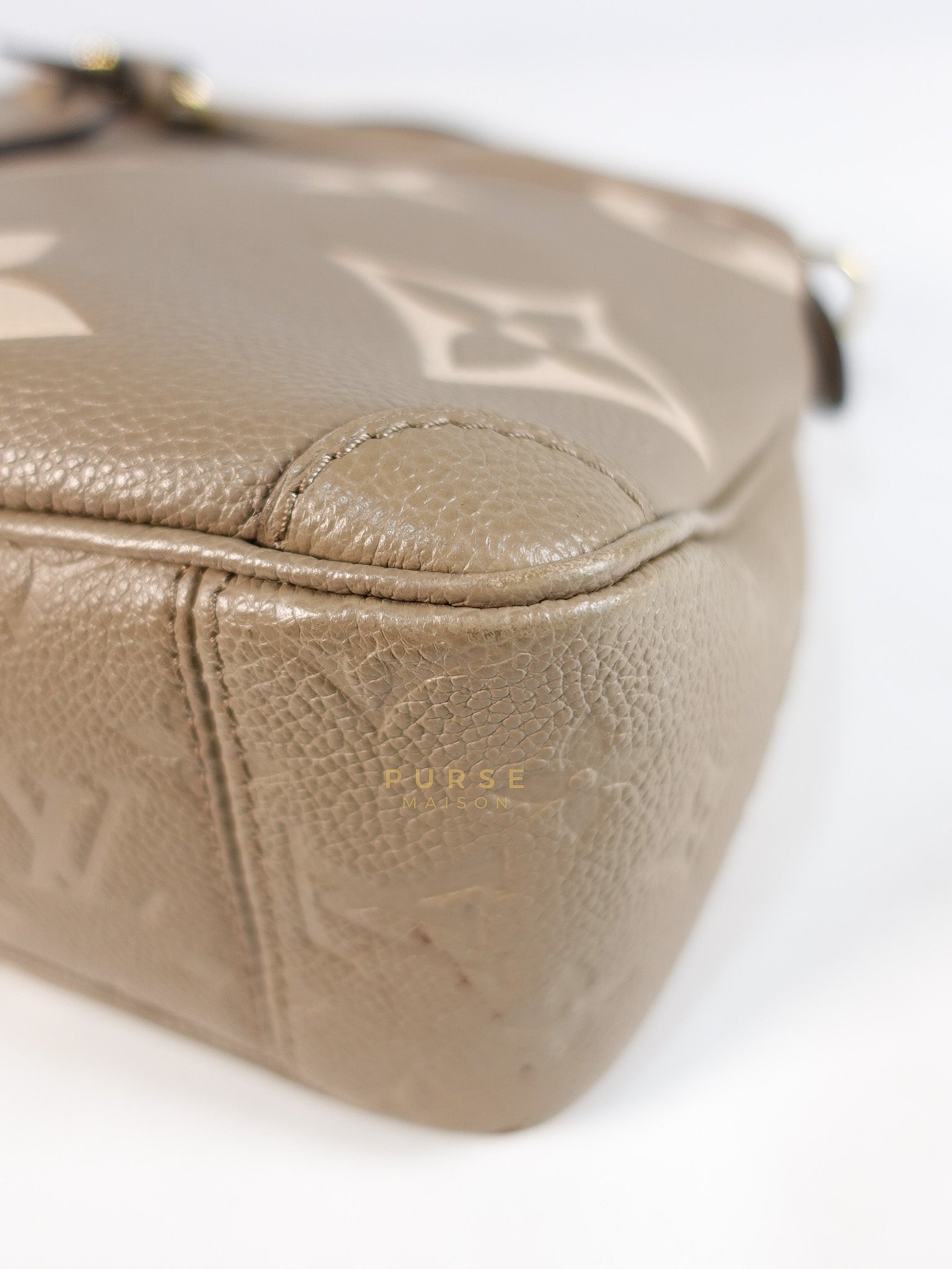 Trianon PM Hand Bag in Beige Monogram Empreinte Leather & Gold Hardware Microchip | Purse Maison Luxury Bags Shop