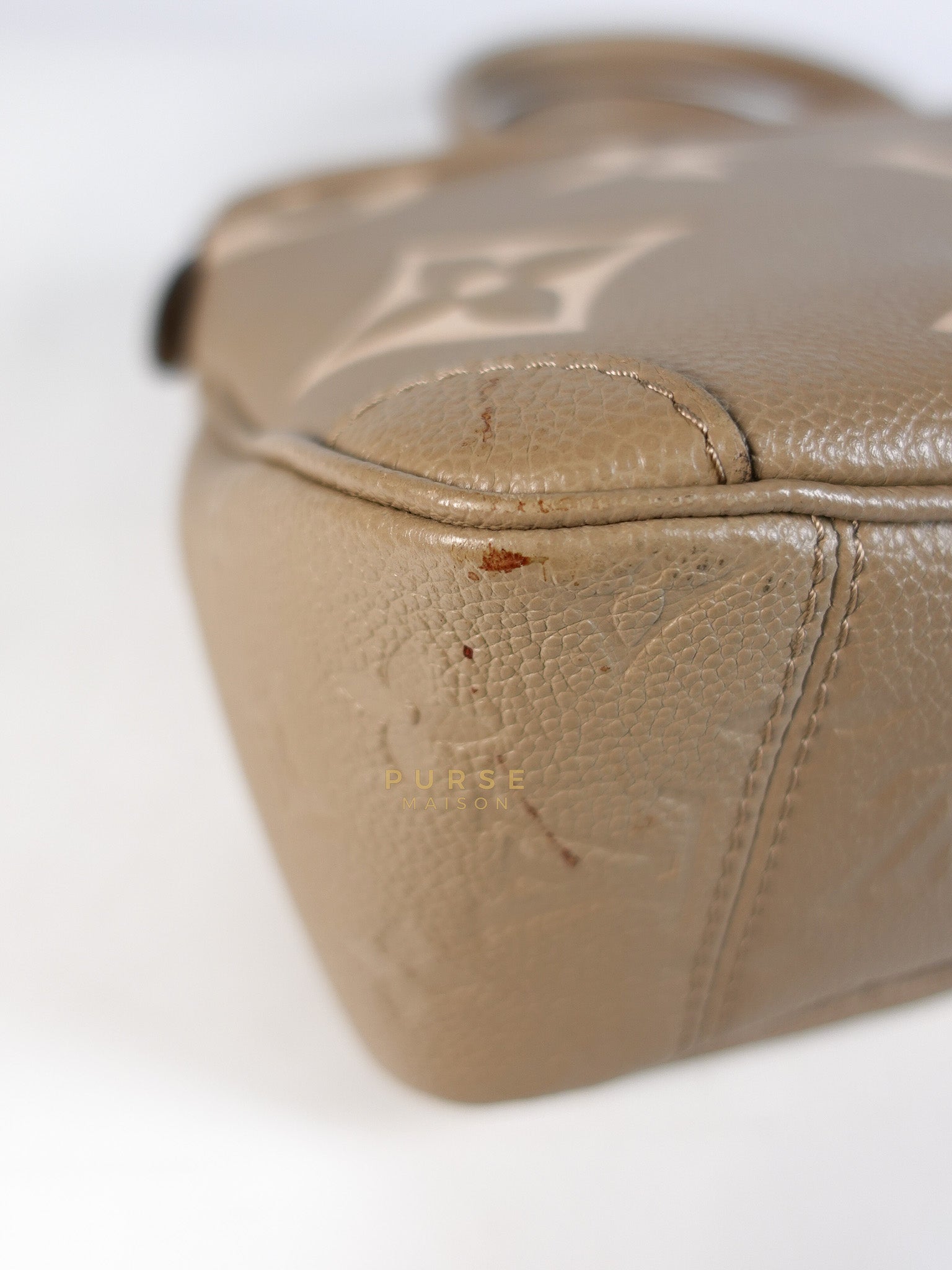 Trianon PM Hand Bag in Beige Monogram Empreinte Leather & Gold Hardware Microchip | Purse Maison Luxury Bags Shop