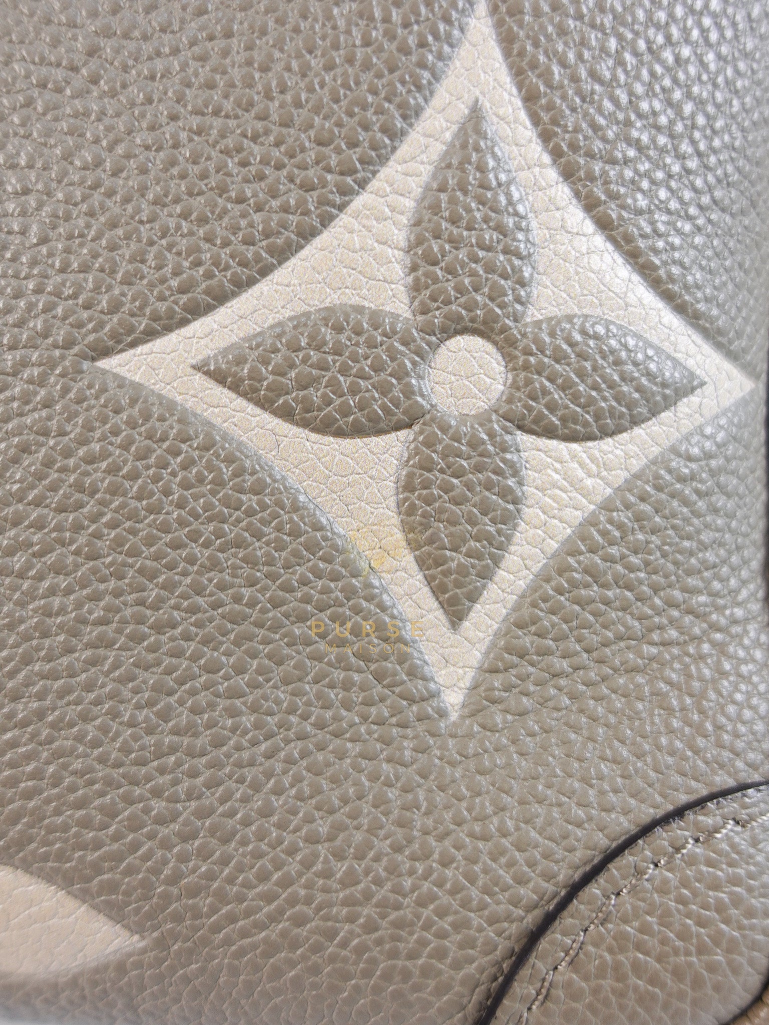 Trianon PM Hand Bag in Beige Monogram Empreinte Leather & Gold Hardware Microchip | Purse Maison Luxury Bags Shop