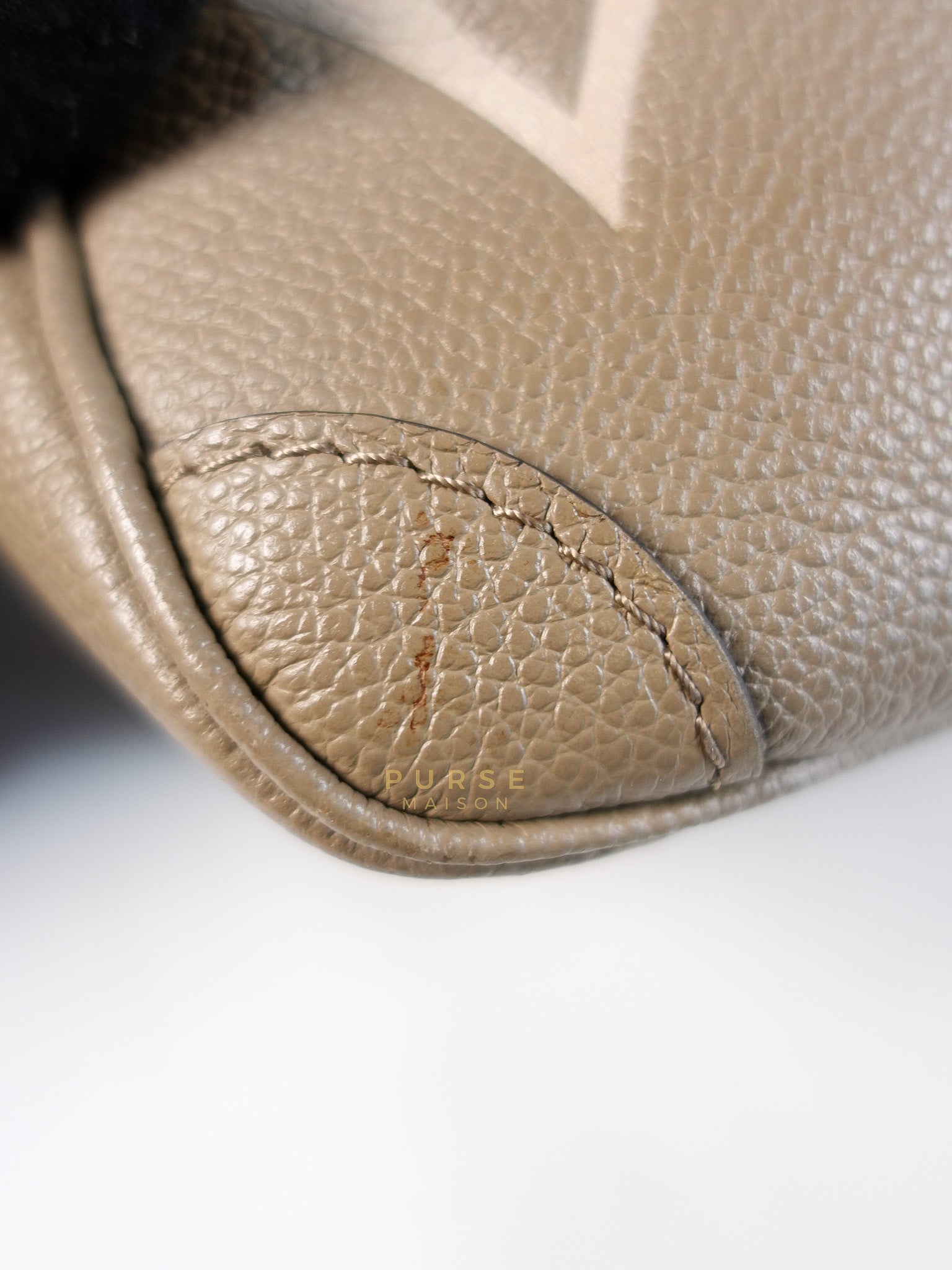 Trianon PM Hand Bag in Beige Monogram Empreinte Leather & Gold Hardware Microchip | Purse Maison Luxury Bags Shop