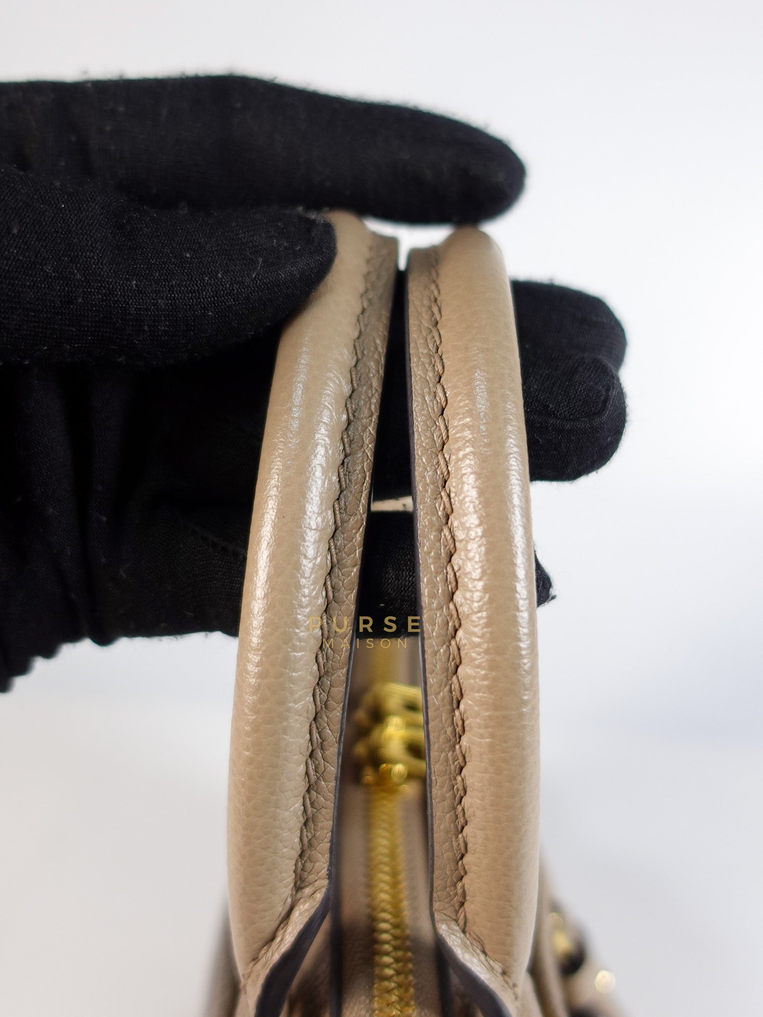 Trianon PM Hand Bag in Beige Monogram Empreinte Leather & Gold Hardware Microchip | Purse Maison Luxury Bags Shop