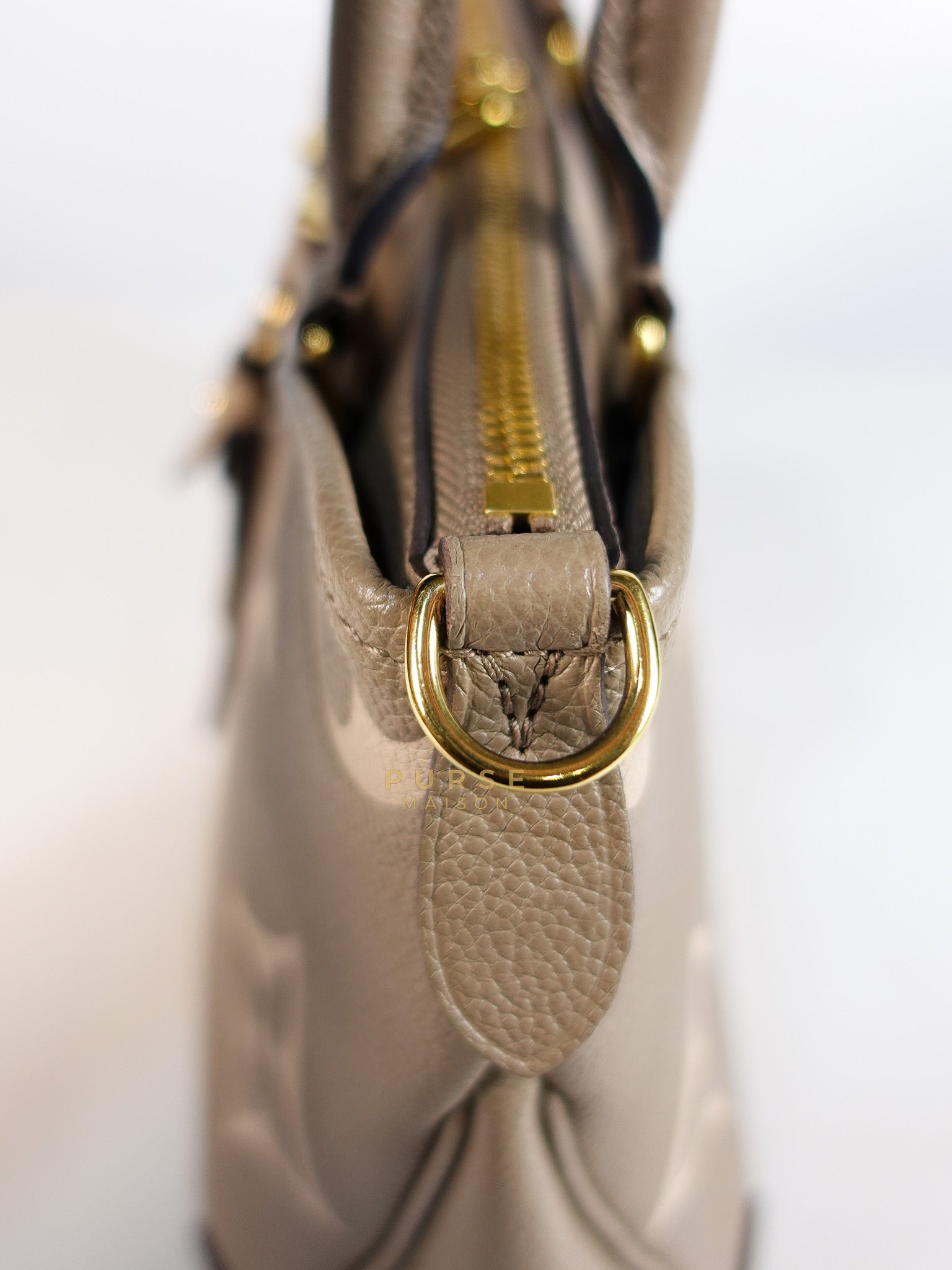 Trianon PM Hand Bag in Beige Monogram Empreinte Leather & Gold Hardware Microchip | Purse Maison Luxury Bags Shop